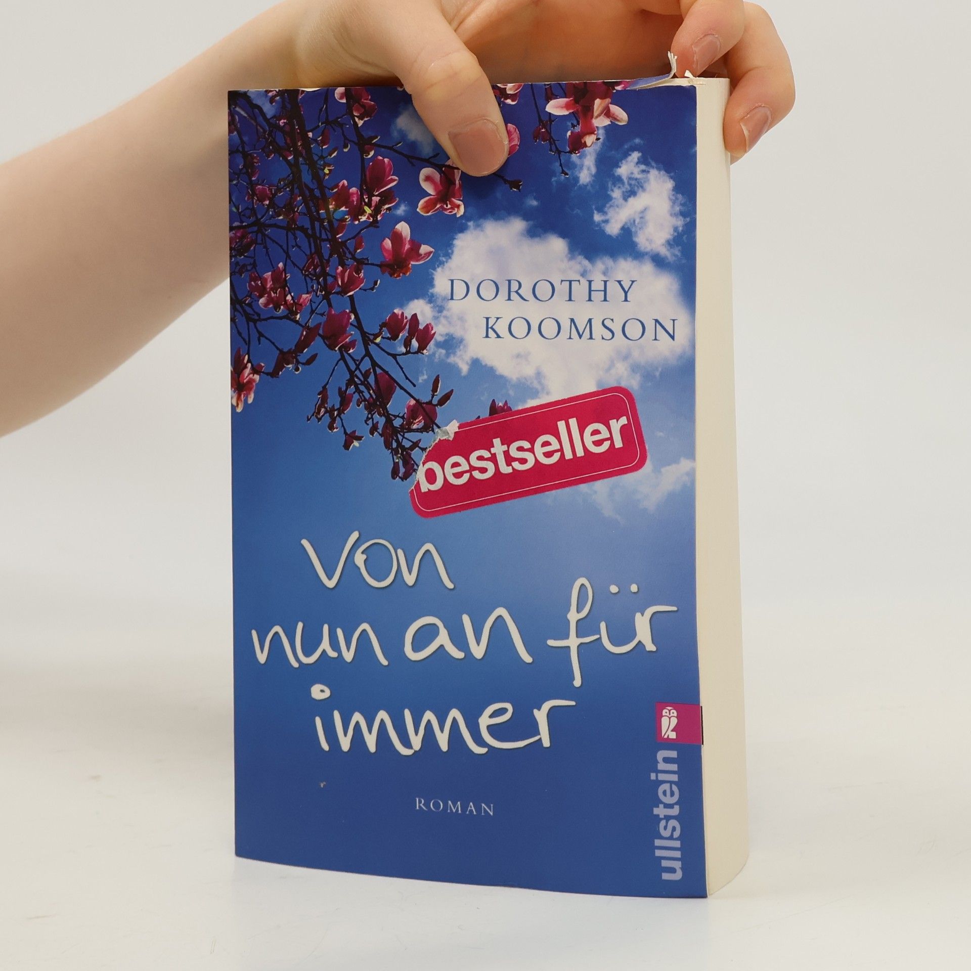 Dorothy Koomson Von nun an für immer