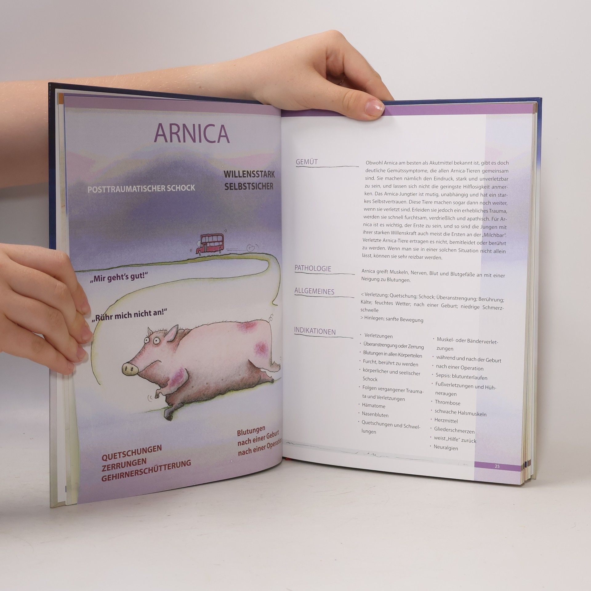 Vicki Mathison Homöopathische Mittelbilder für Tiere