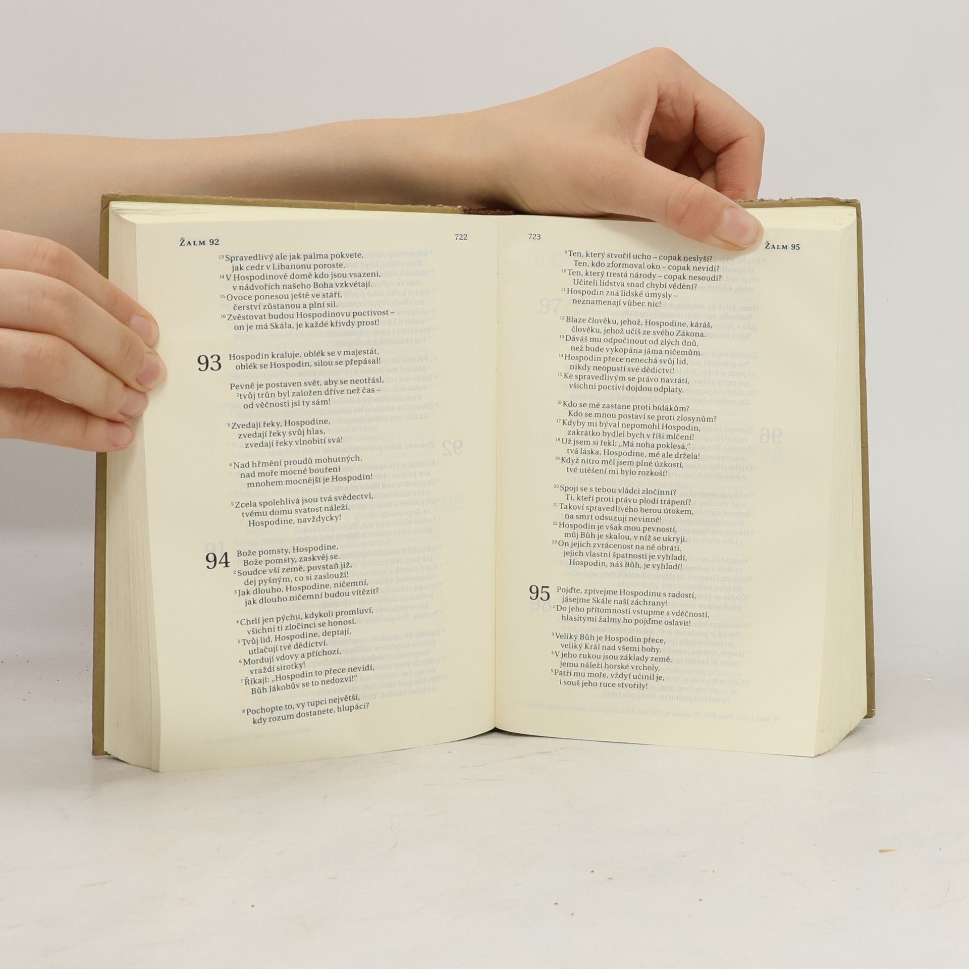 Alexandr Flek Bible. Překlad 21. století