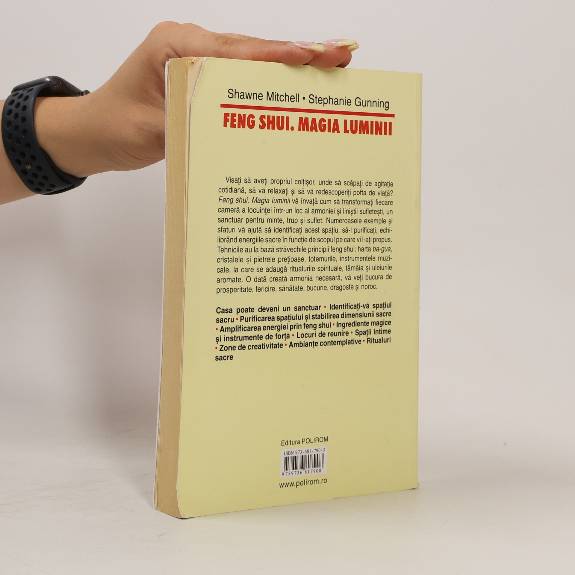 Shawne Mitchell Feng Shui
