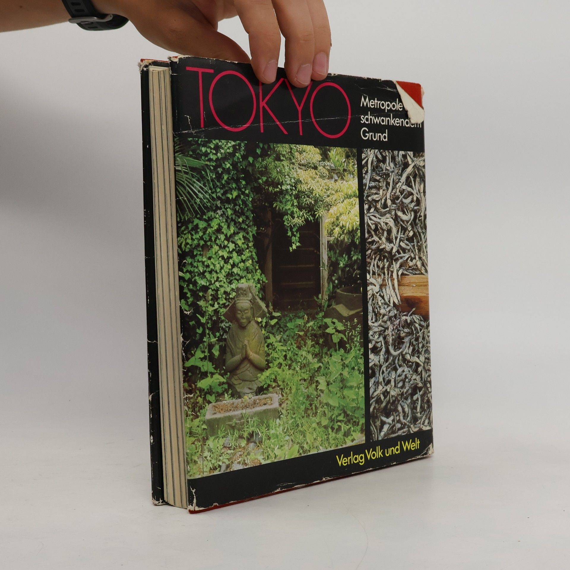 Karol Kállay Tokyo