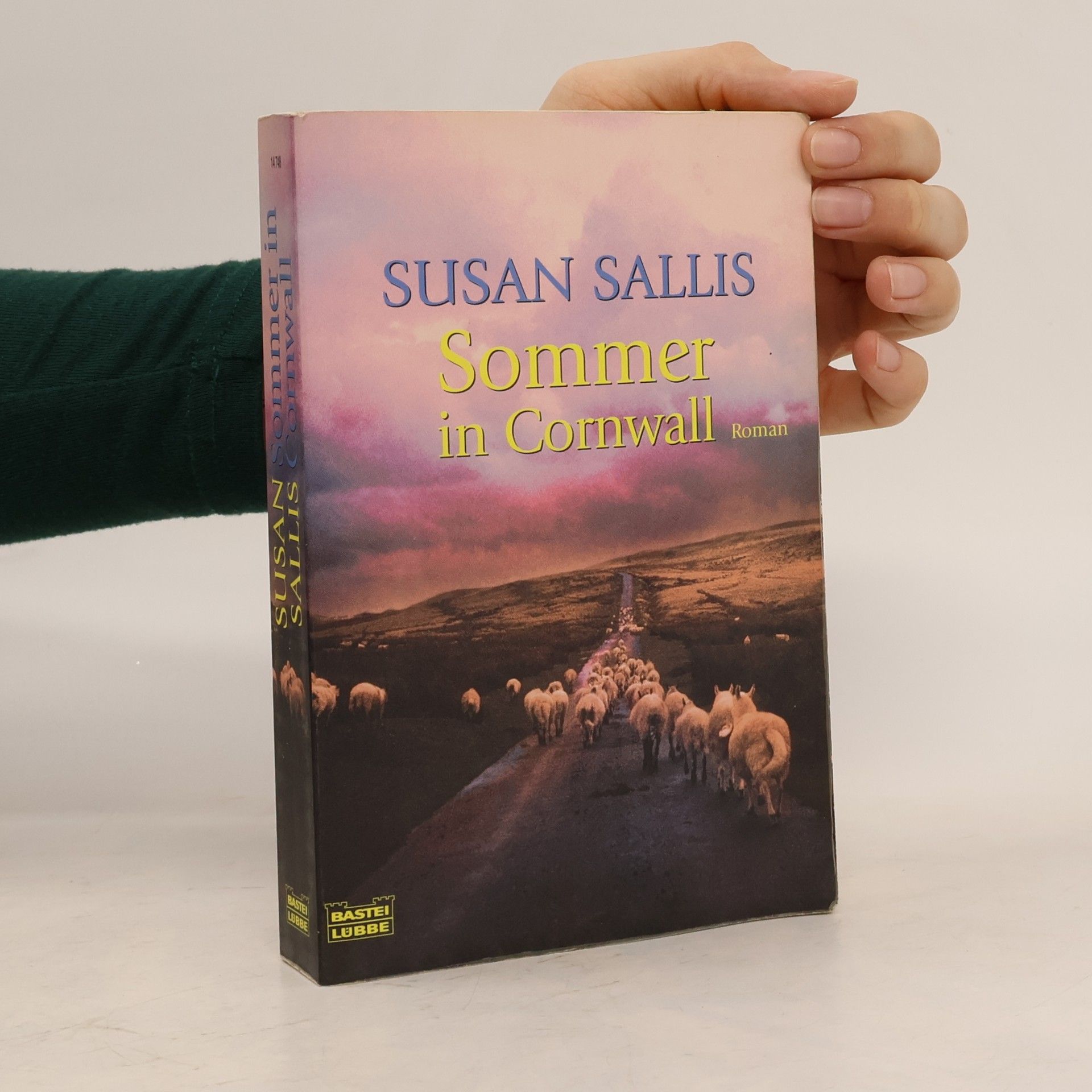 Susan Sallis Sommer in Cornwall