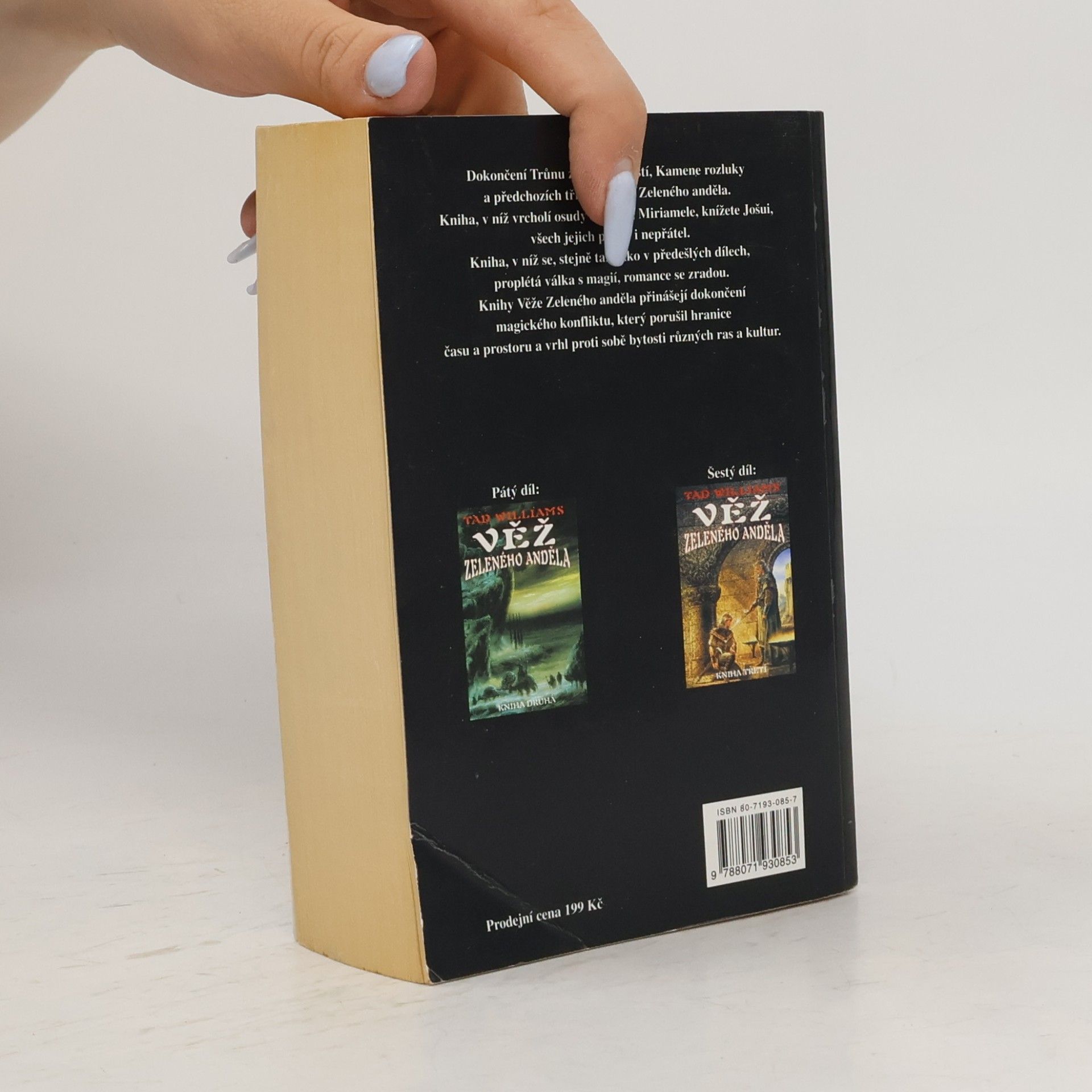 Tad Williams Věž Zeleného anděla. Kniha čtvrtá