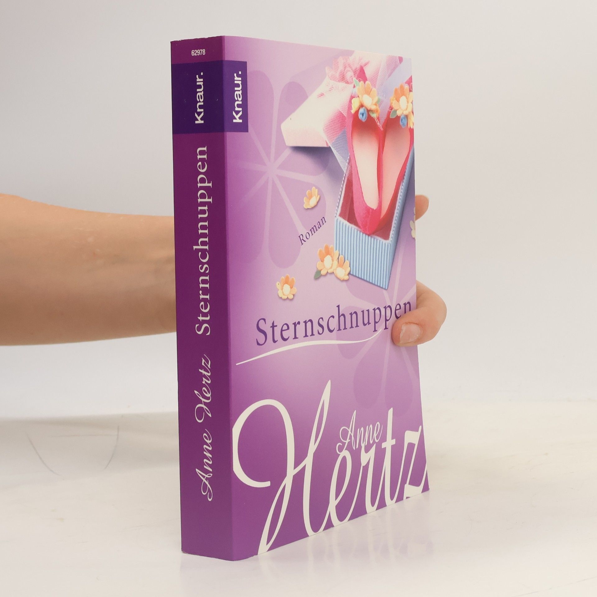 Anne Hertz Sternschnuppen