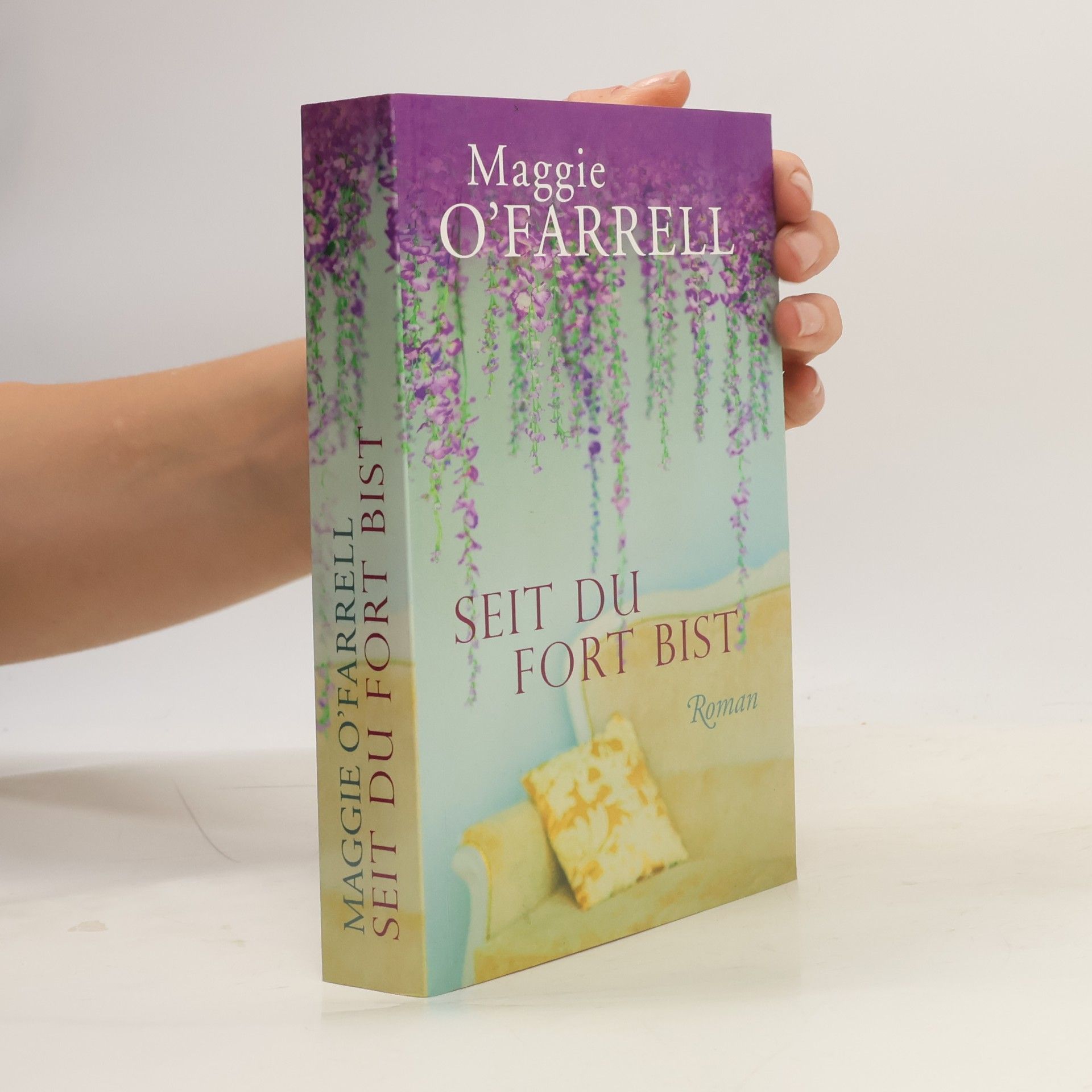 Maggie O´Farrell Seit du fort bist