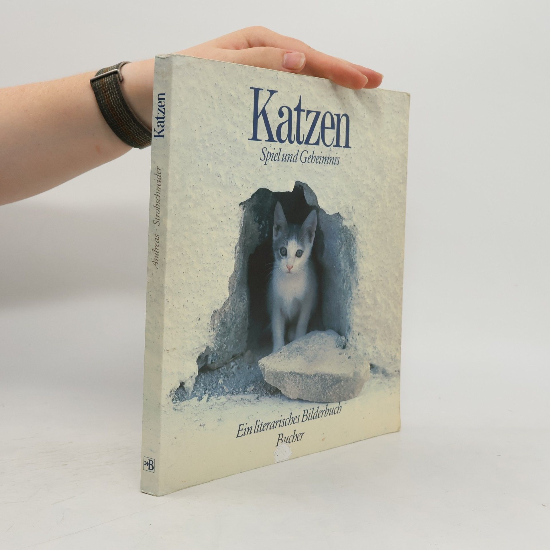 Katzen