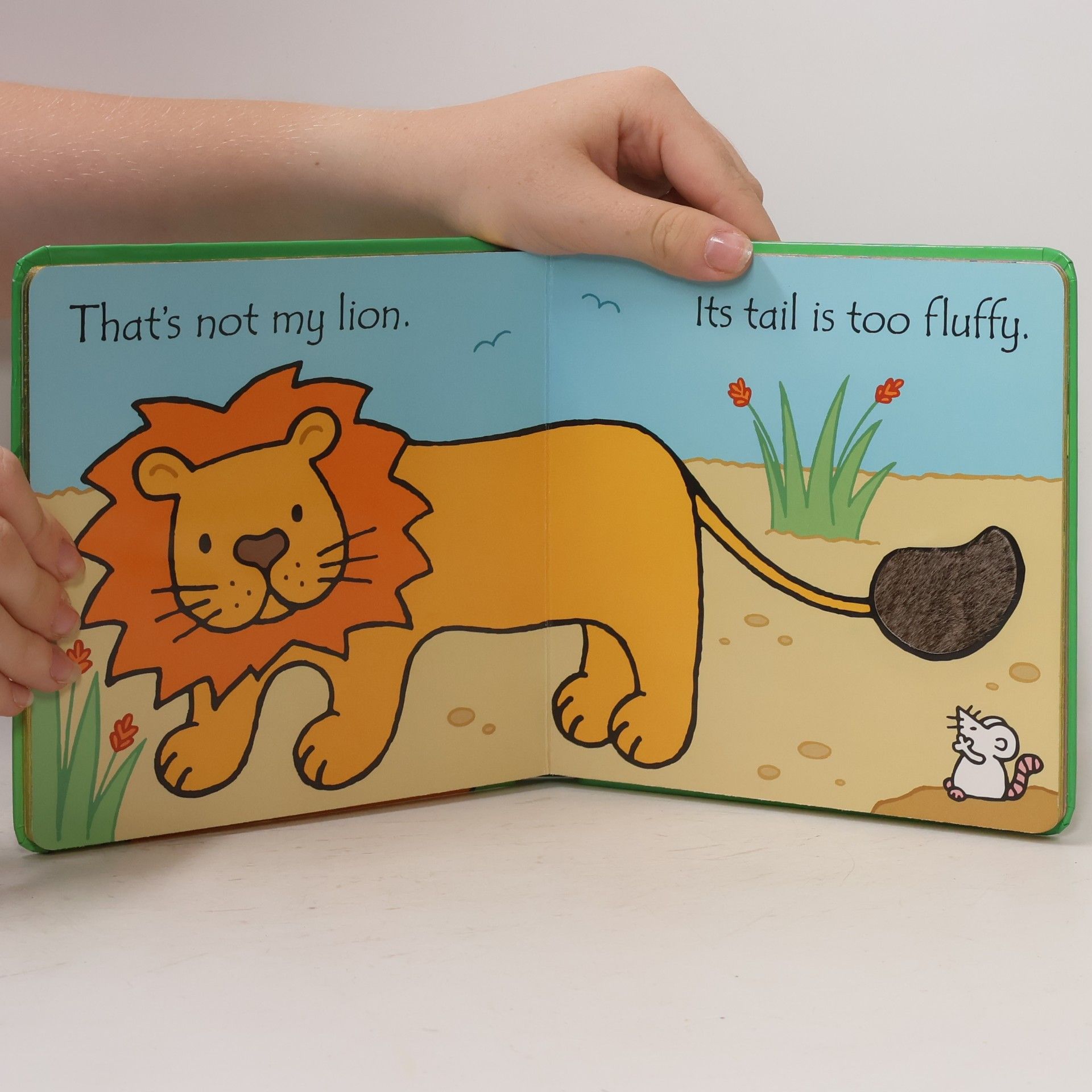 Fiona Watt Thats Not My Lion