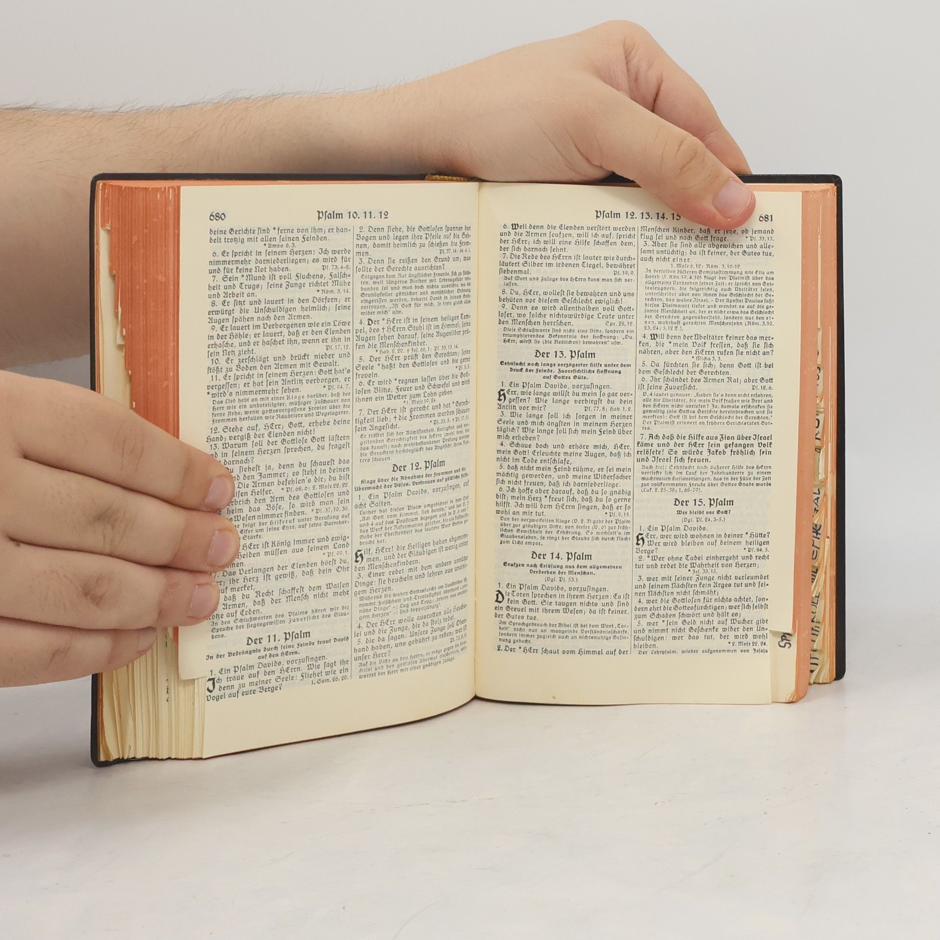Martin Luther Die Bibel oder die ganze heilige Schrift
