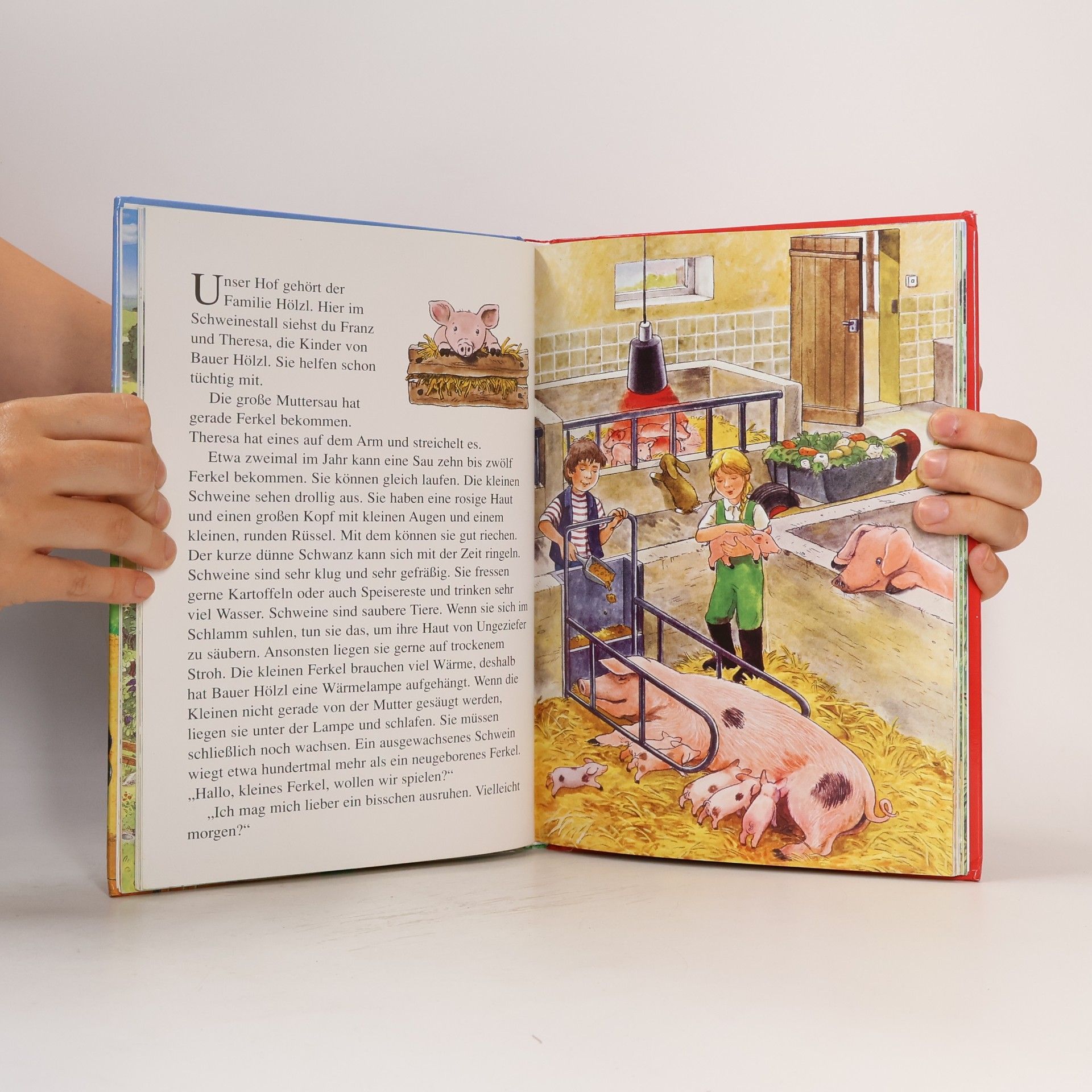 AA.VV. Mein großes Buch vom Bauernhof