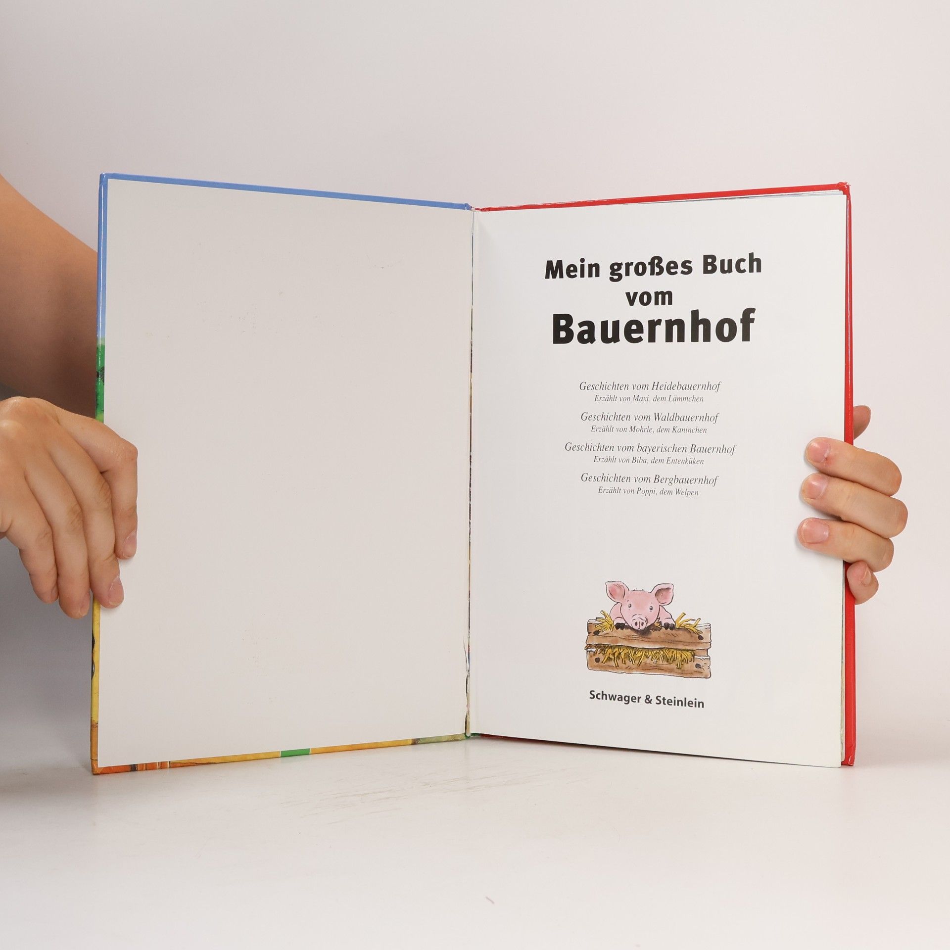 AA.VV. Mein großes Buch vom Bauernhof