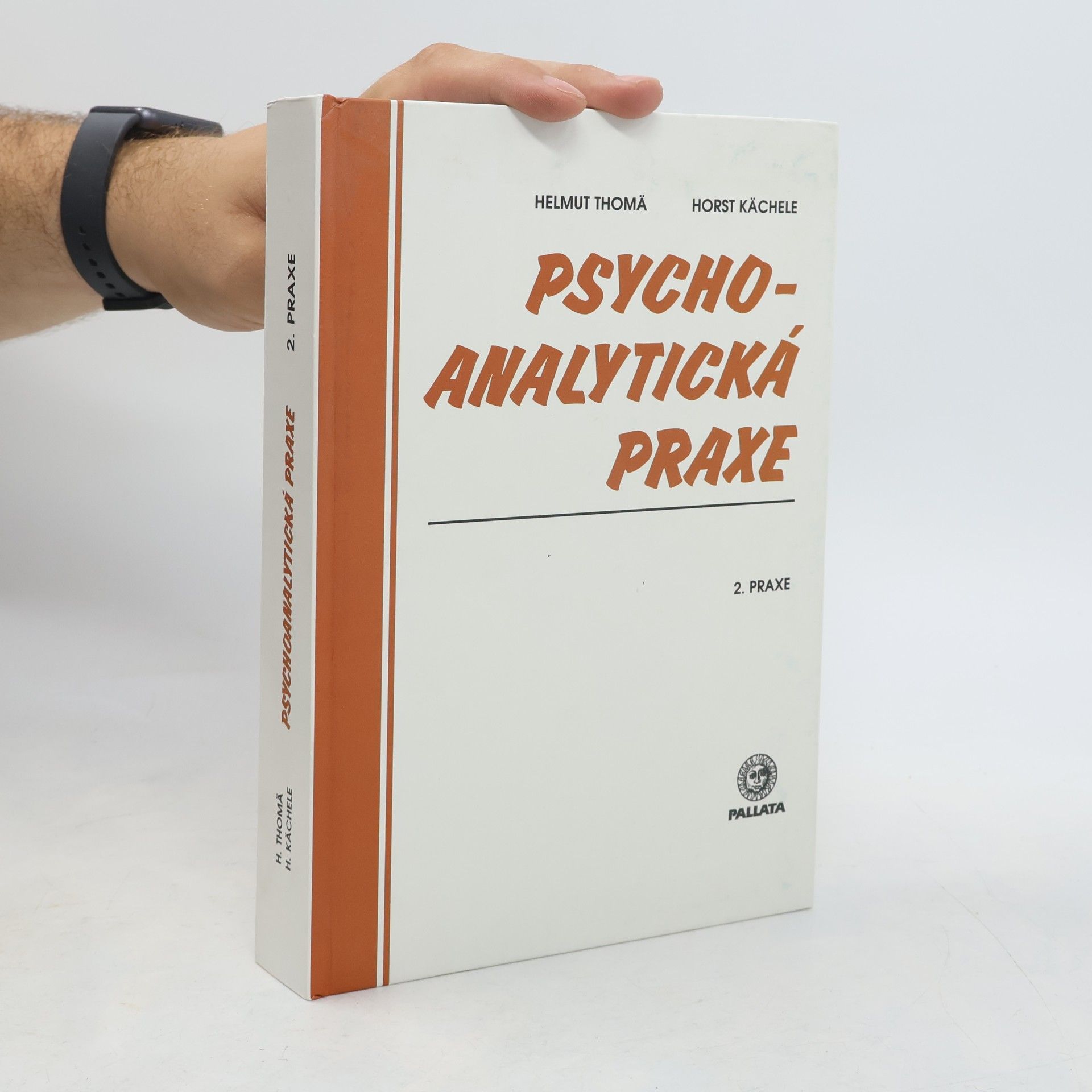 Psychoanalytická praxe 2