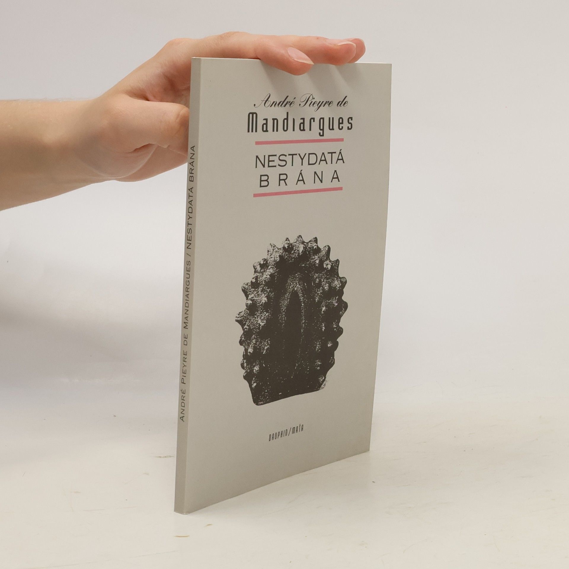André Pieyre de Mandiargues Nestydatá brána