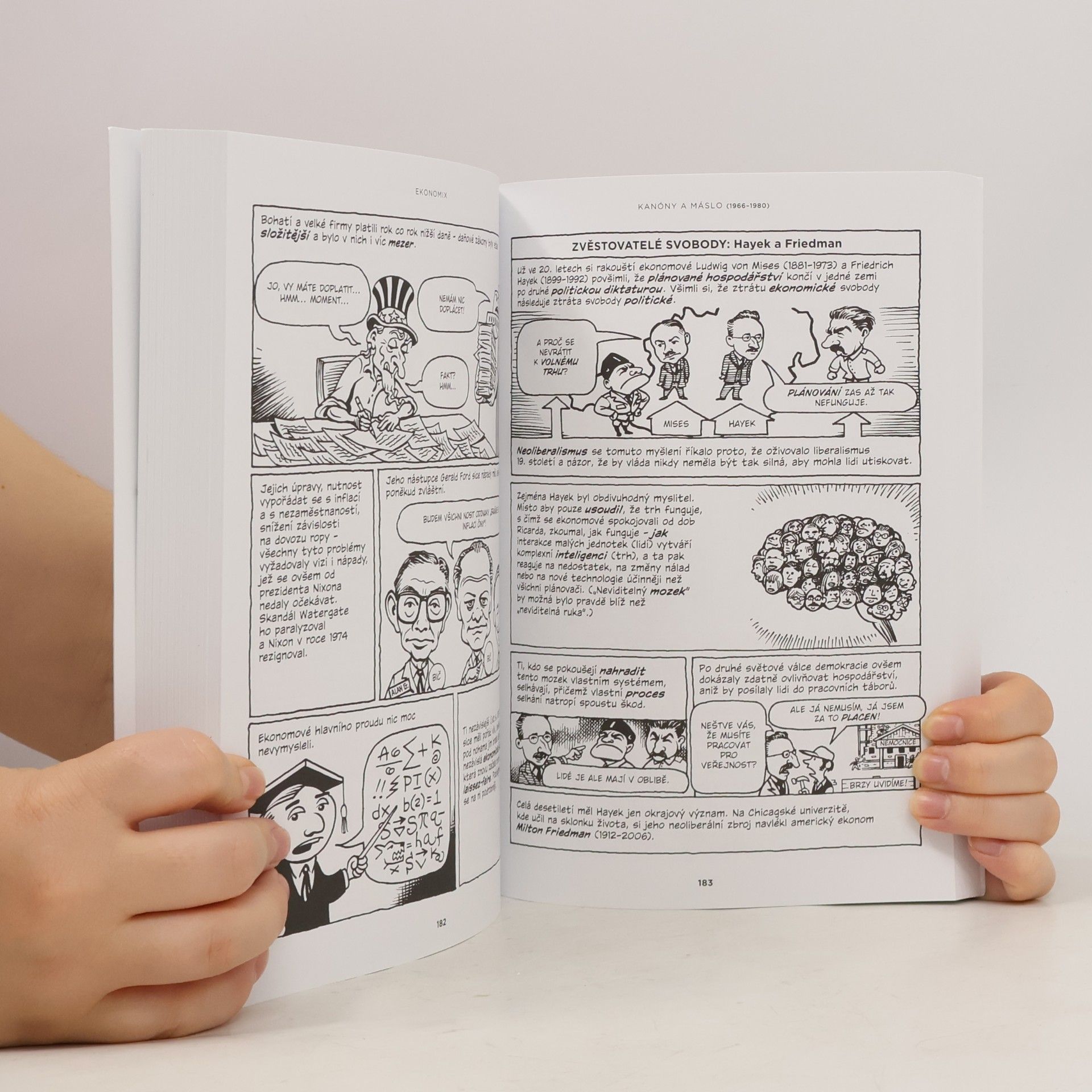 Michael Goodwin Ekonomix: Jak funguje (a nefunguje) ekonomika