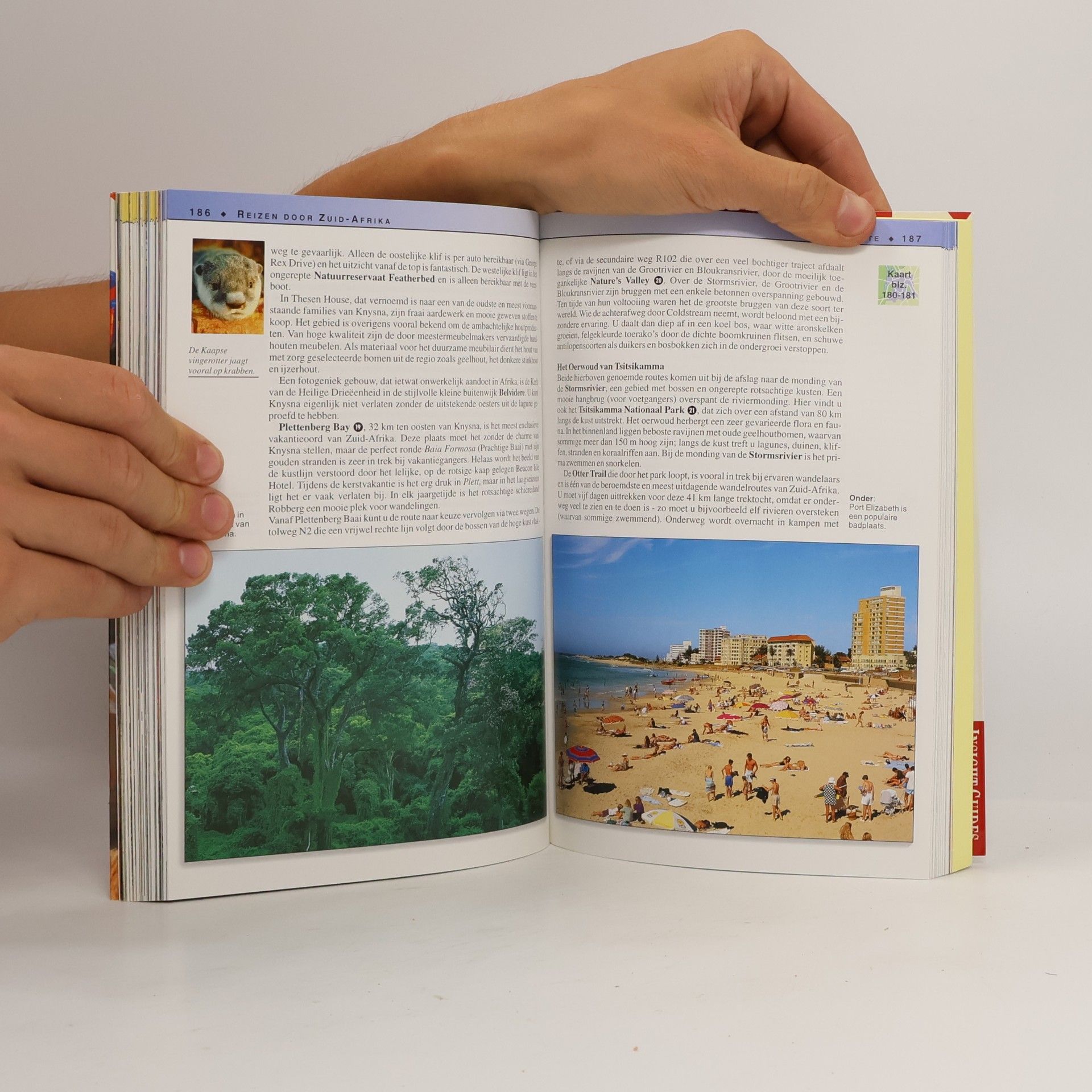 Insight Guide: Cambium reisgidsen Zuid-Afrika