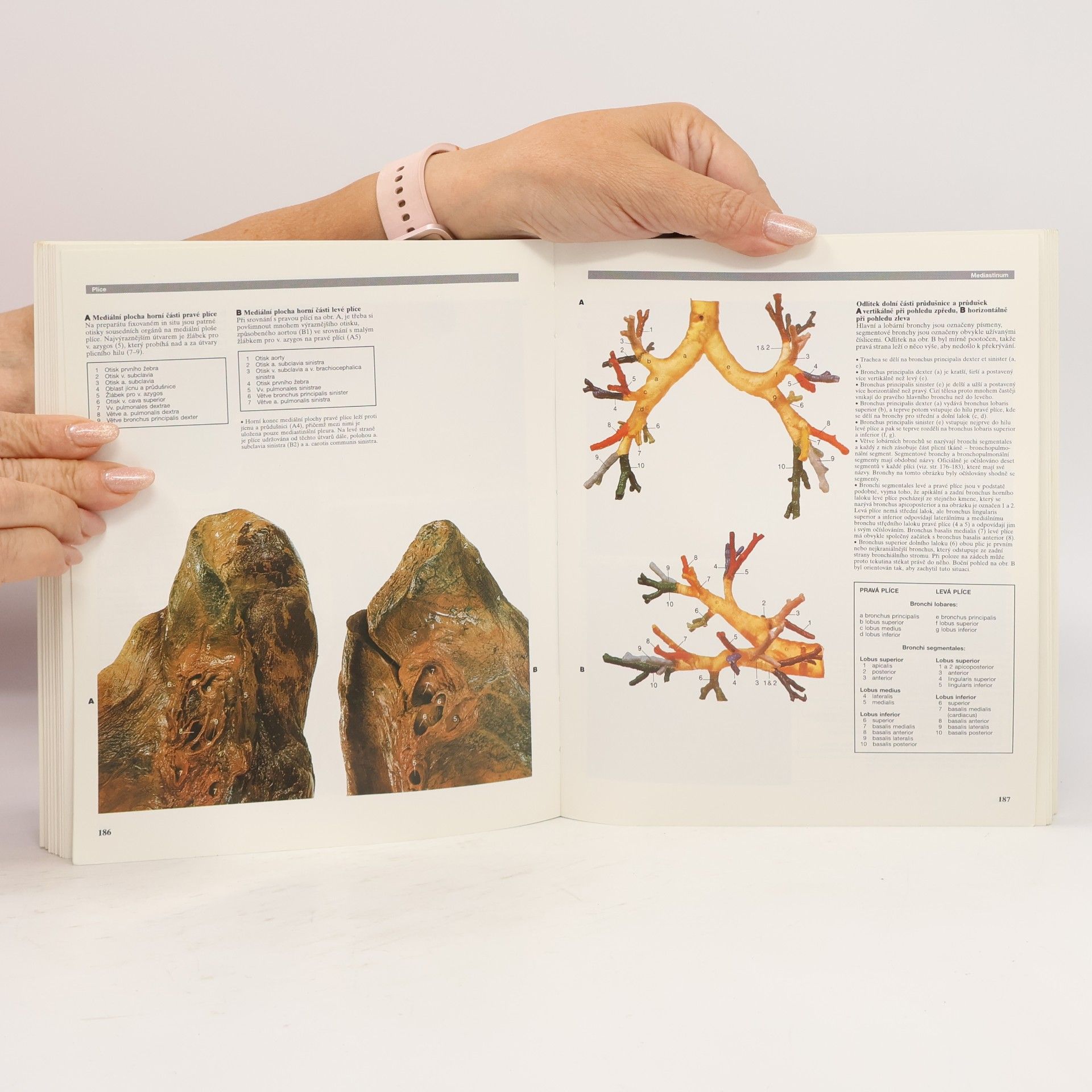 R. M. H. Robert Matthew Hay McMinn Barevný atlas anatomie člověka