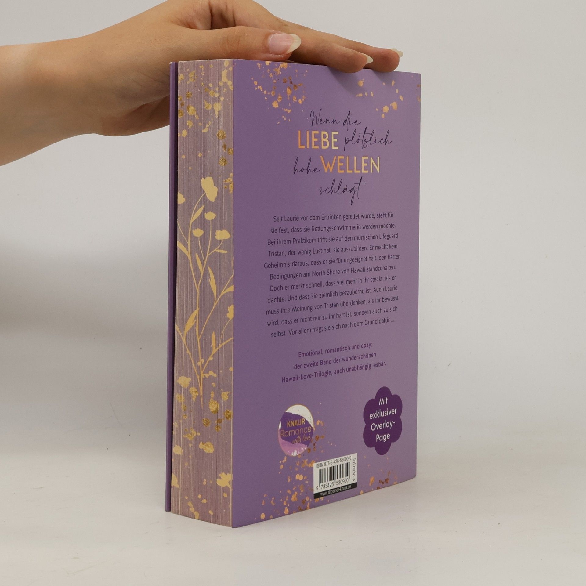 Lilly Lucas This could be home / Hawaii Love Bd.2