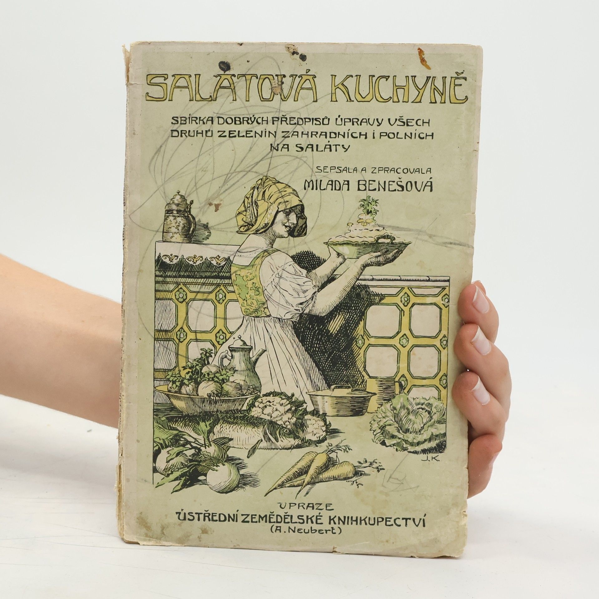 Milada Benešová Salátová kuchyně