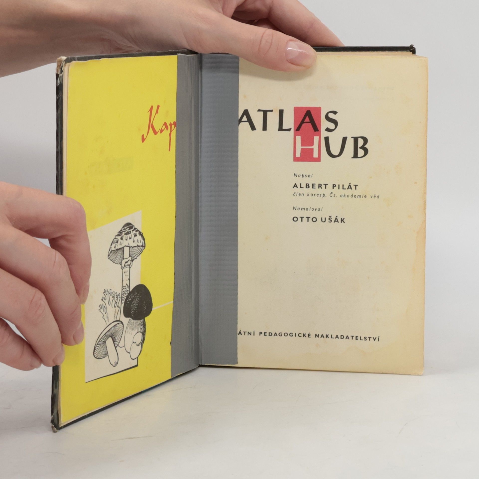 Albert Pilát Kapesní atlas hub