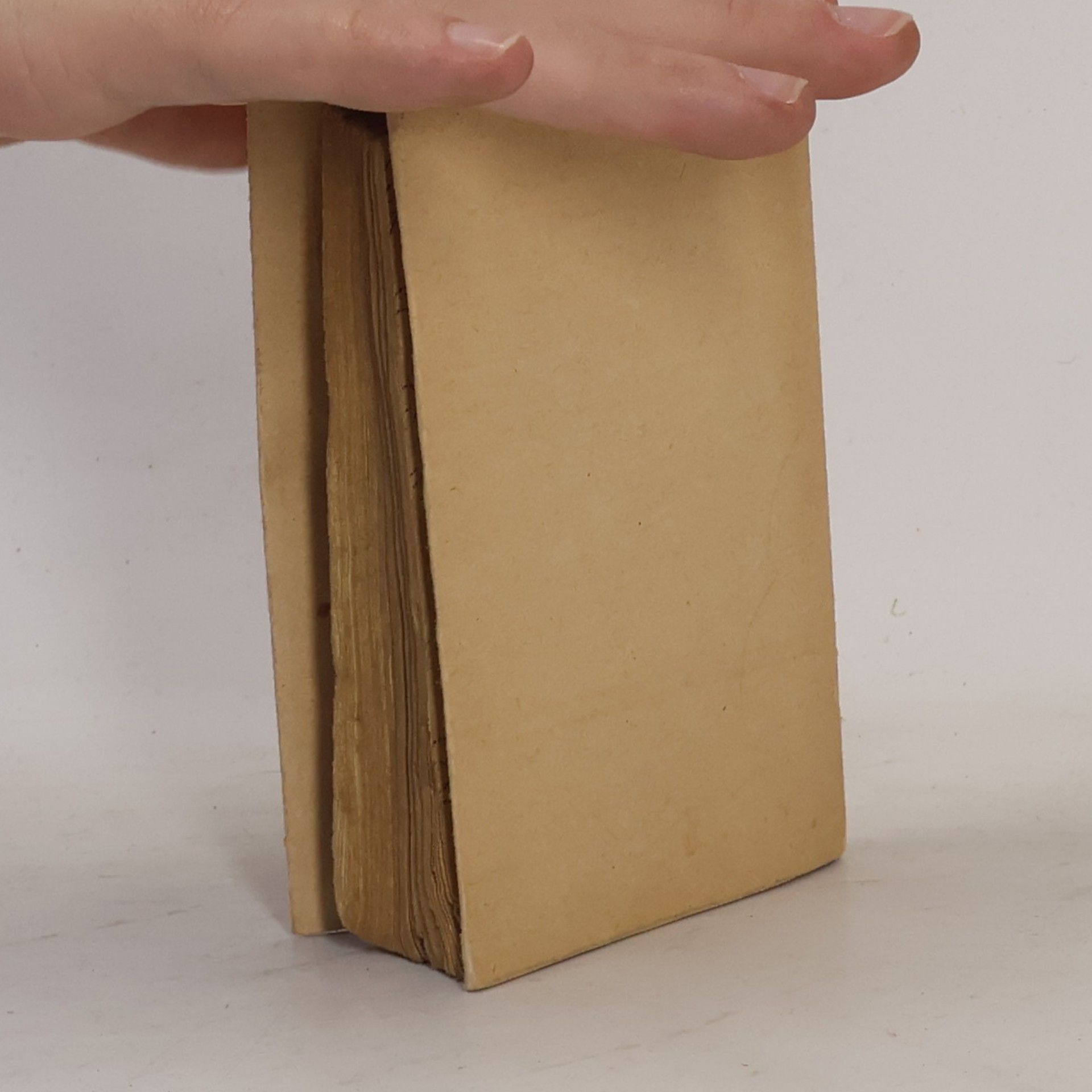Voltaire Les Plus Belles Lettres