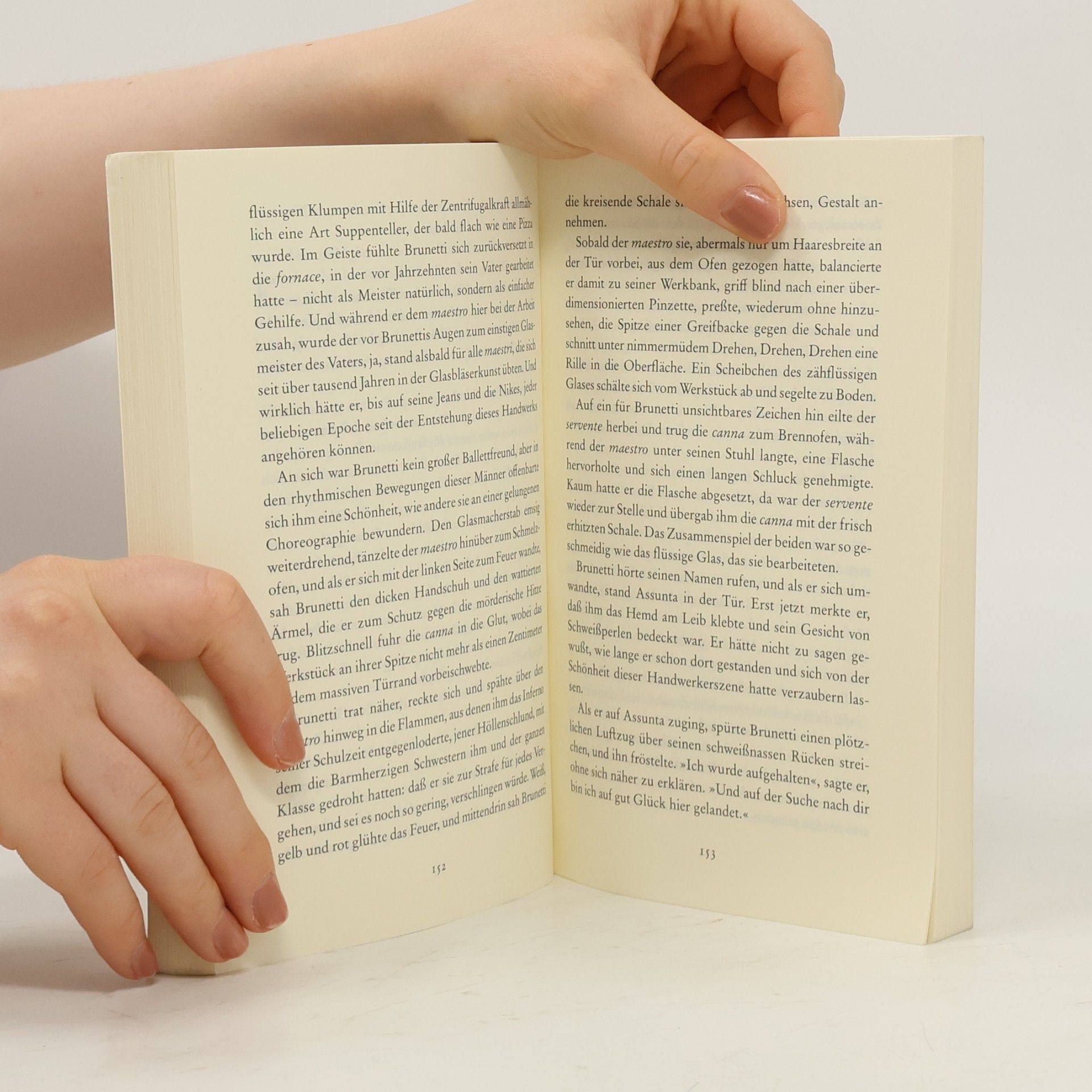 Donna Leon Wie durch ein dunkles Glas