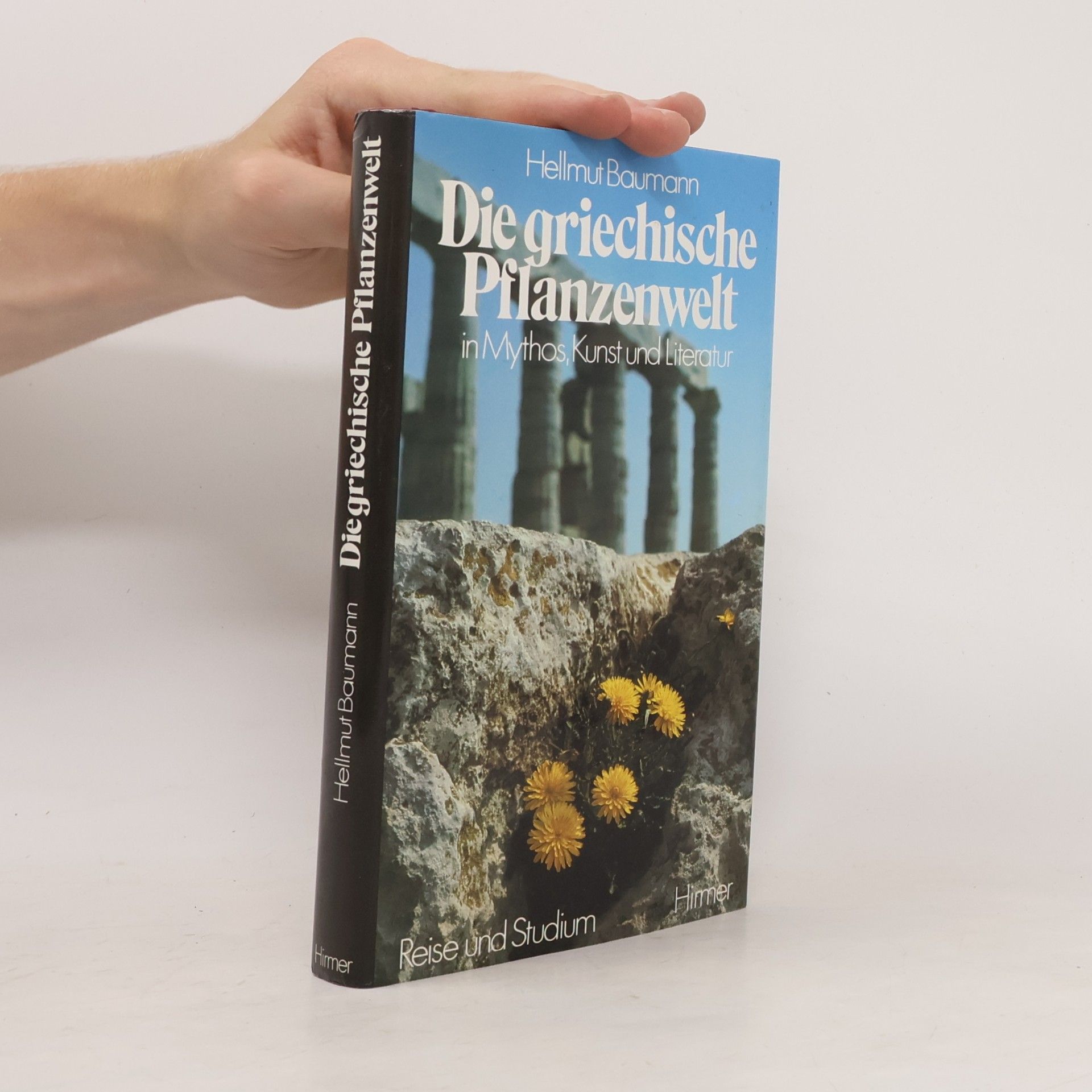 Werner Fuchs Die Skulptur der Griechen