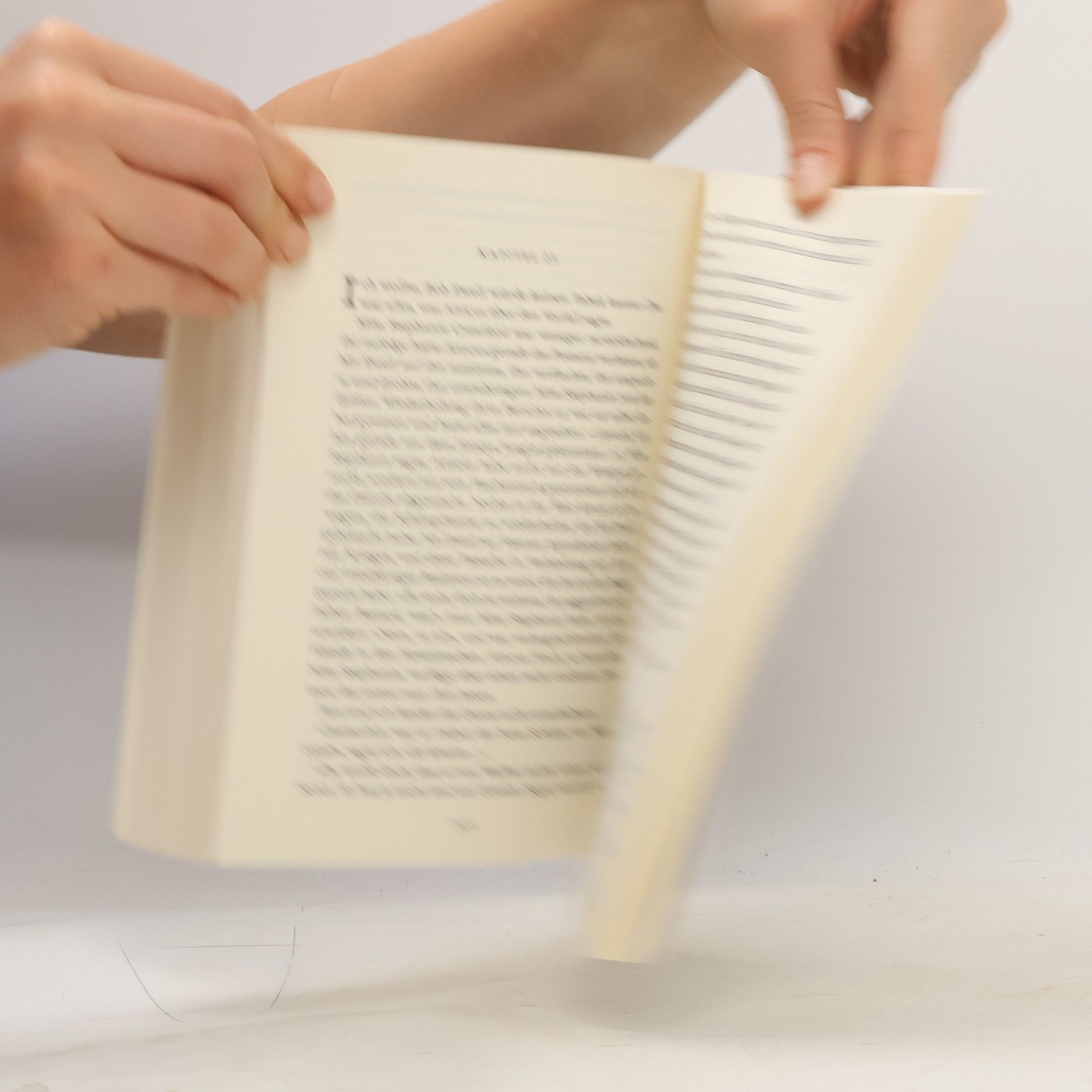 Harper Lee Wer die Nachtigall stört ...