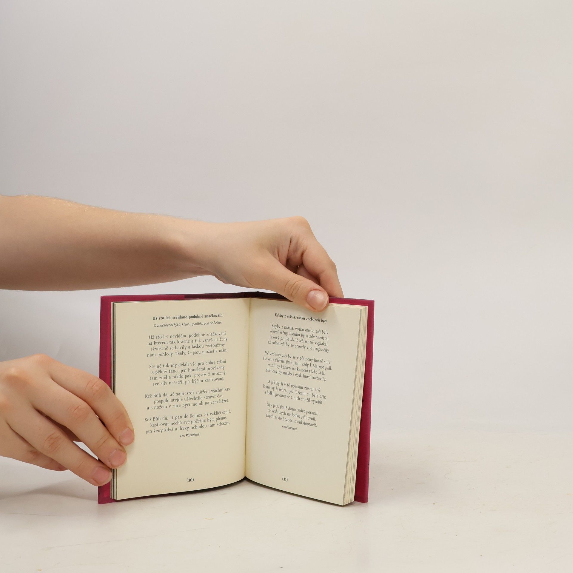 Various authors Zničilas všechno, mé srdce znič