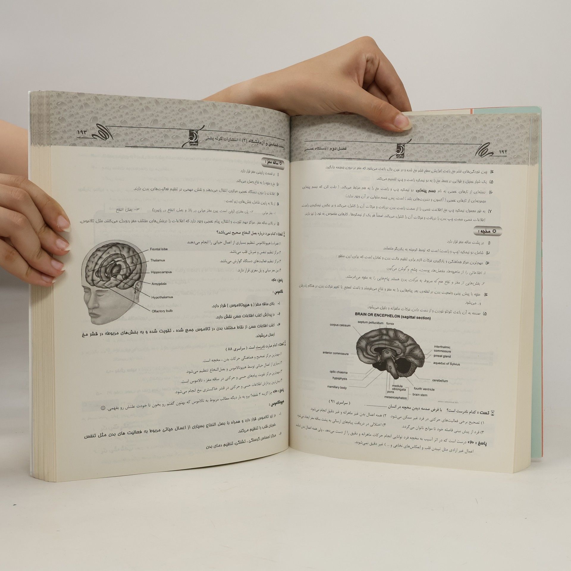 رسول رزاقی زیست شناسی و آزمایشگاه پایه