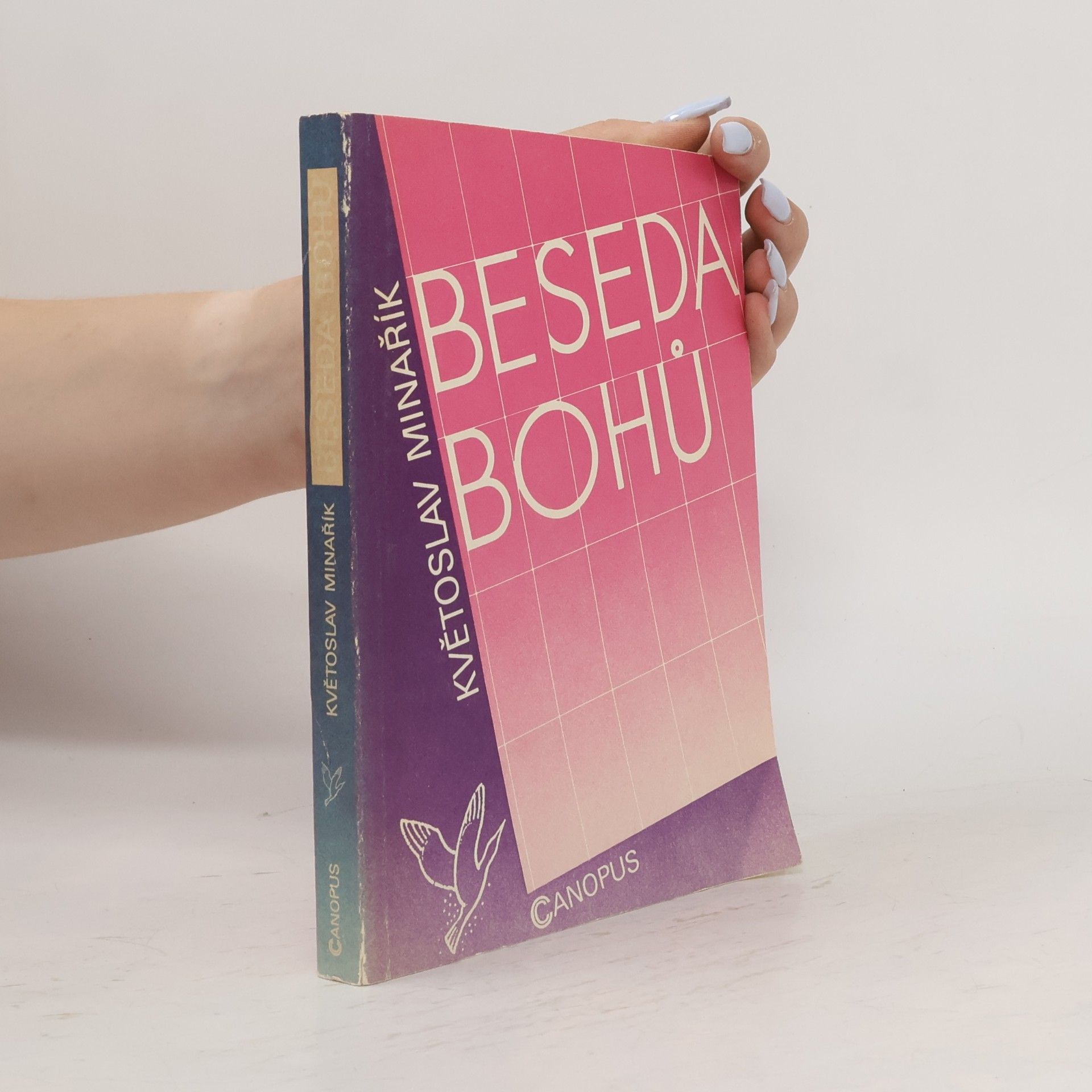 Květoslav Minařík Beseda bohů