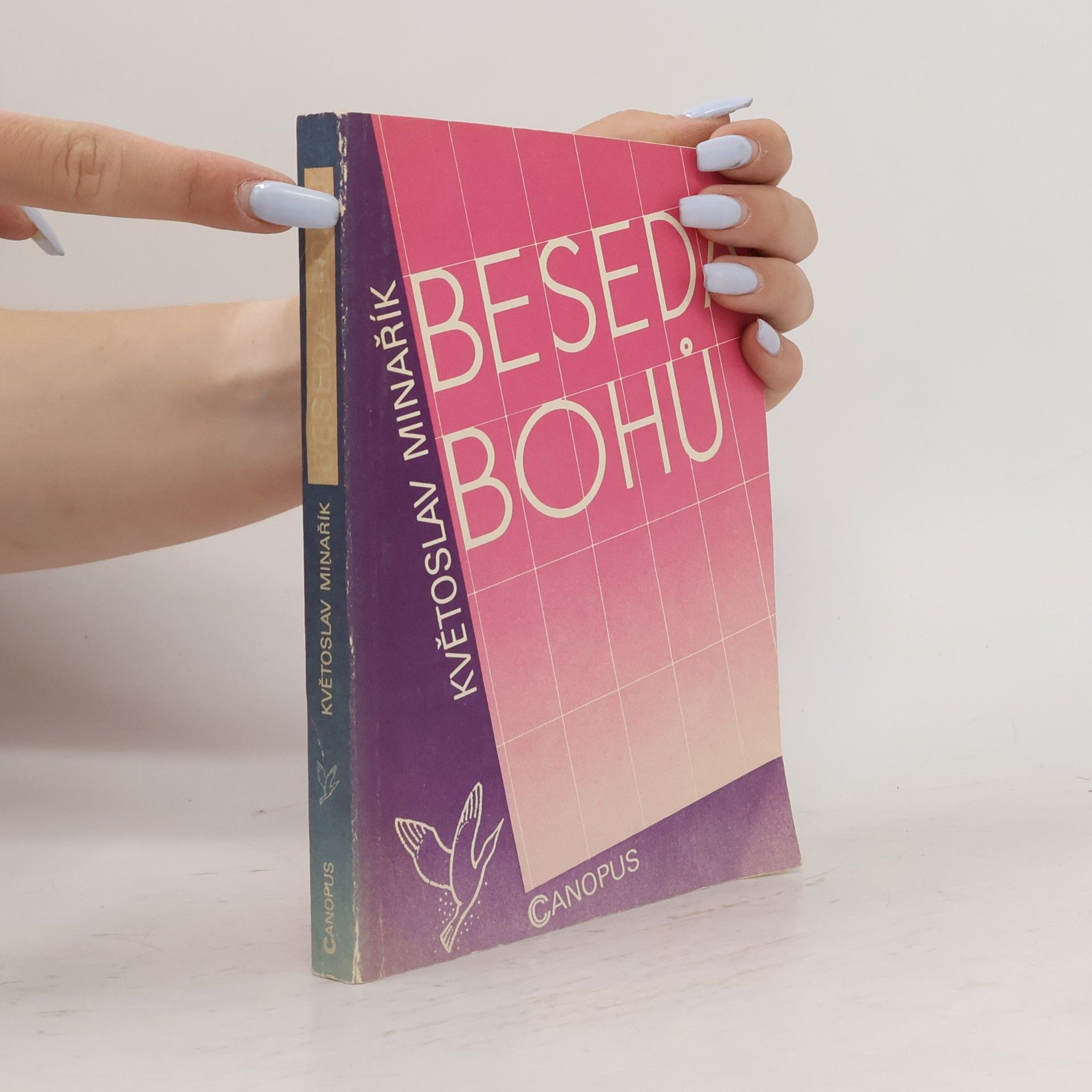 Květoslav Minařík Beseda bohů