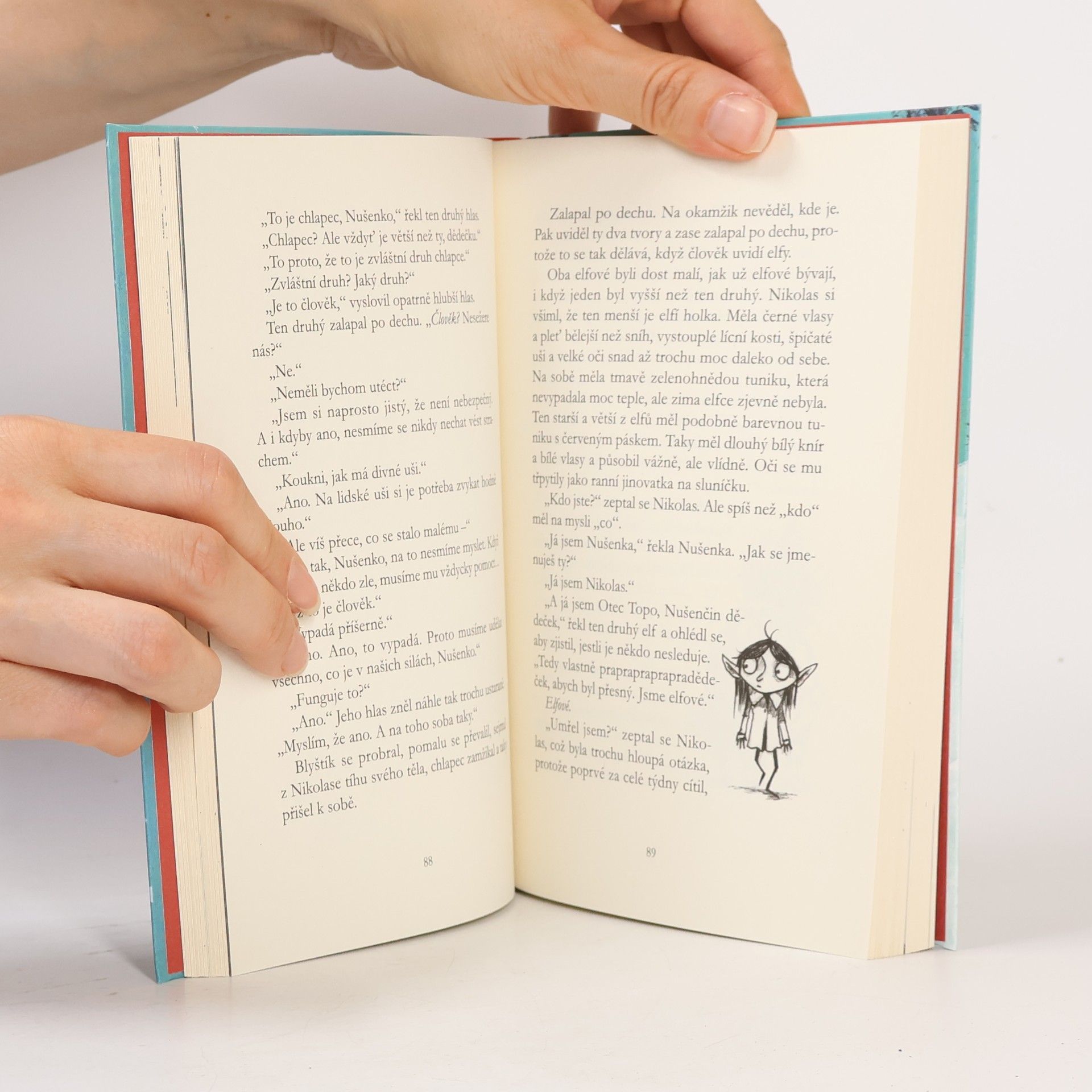 Matt Haig Kluk jménem Vánoce