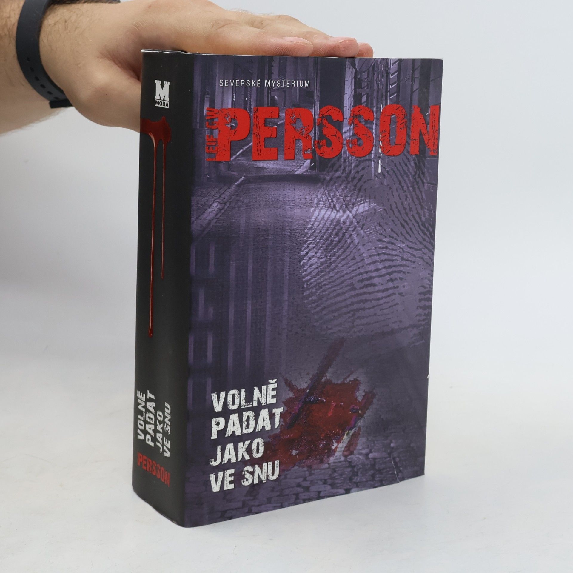 Leif G. W. Persson Volně padat jako ve snu