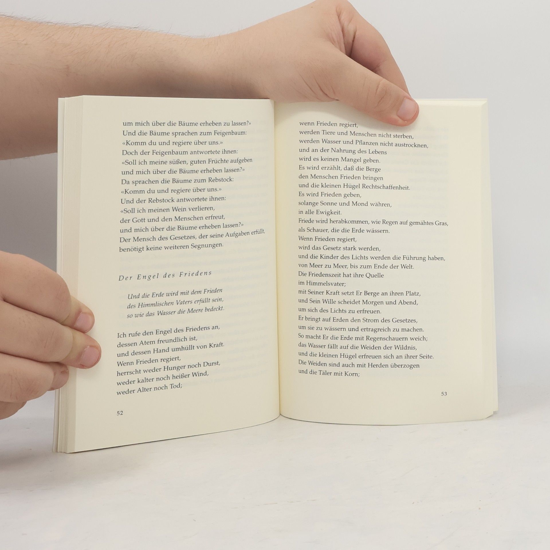 Edmund Bordeaux Szekely Die verlorenen Schriftrollen der Essener
