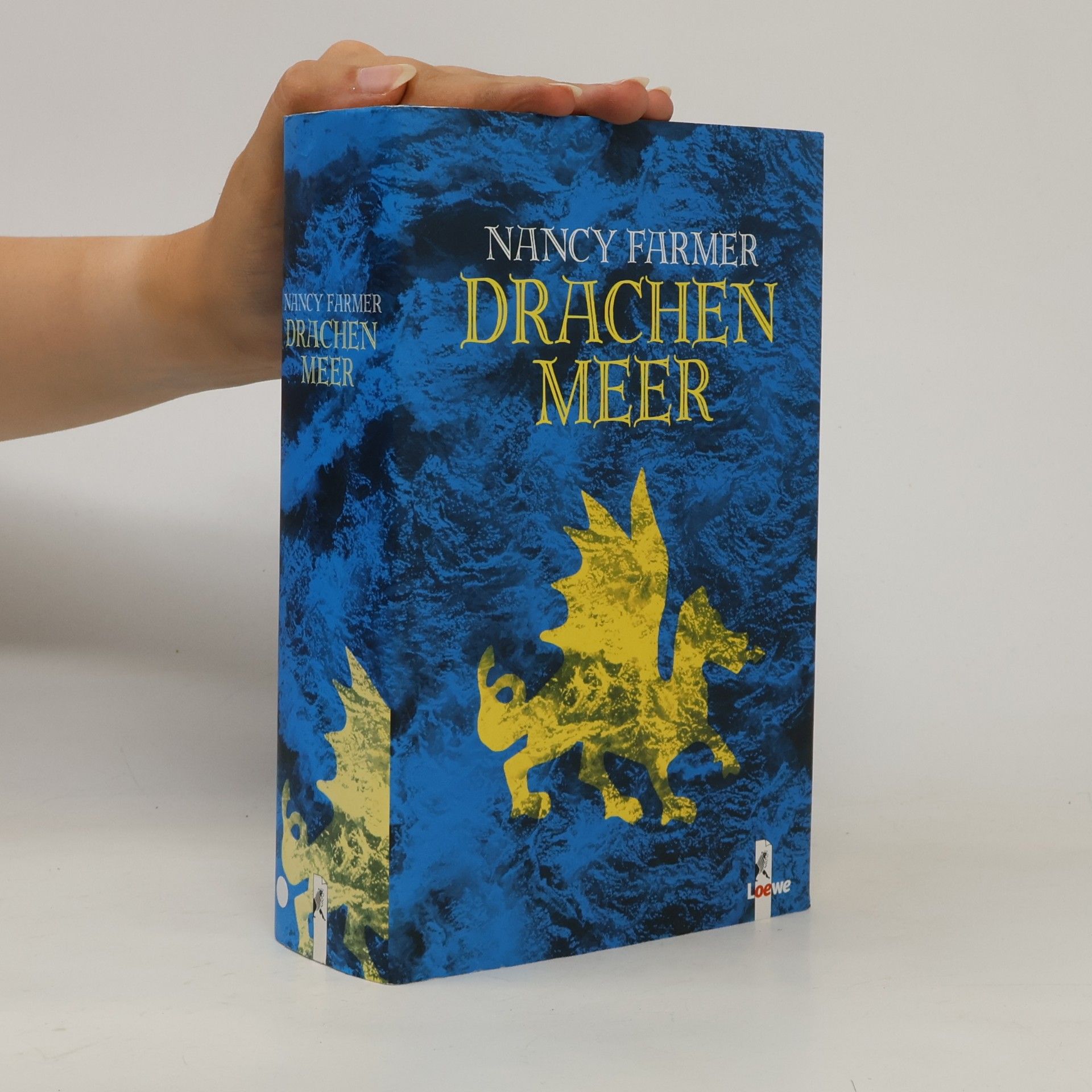 Nancy Farmer Drachen Meer