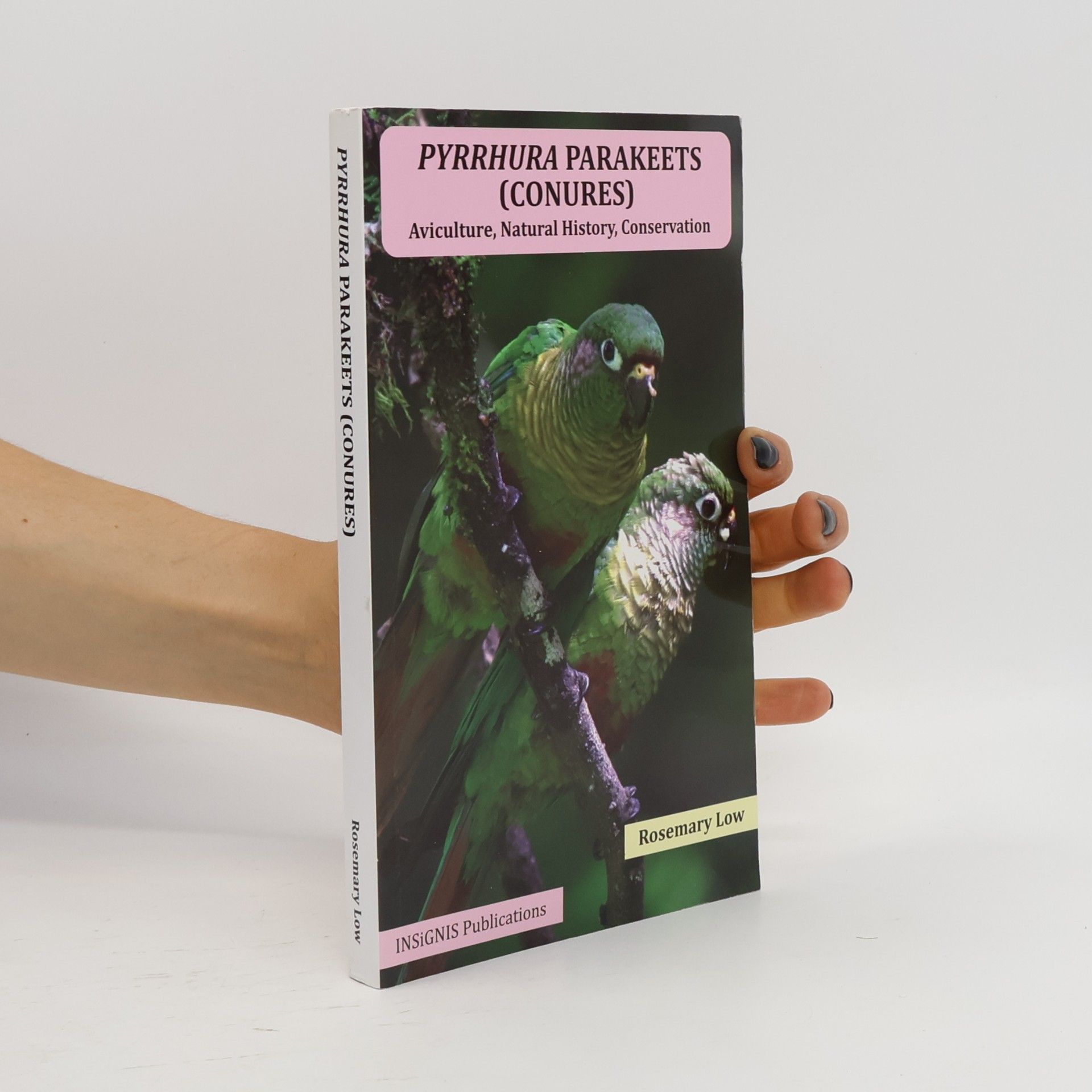 Rosemary Low Pyrrhura Parakeets (Conures)