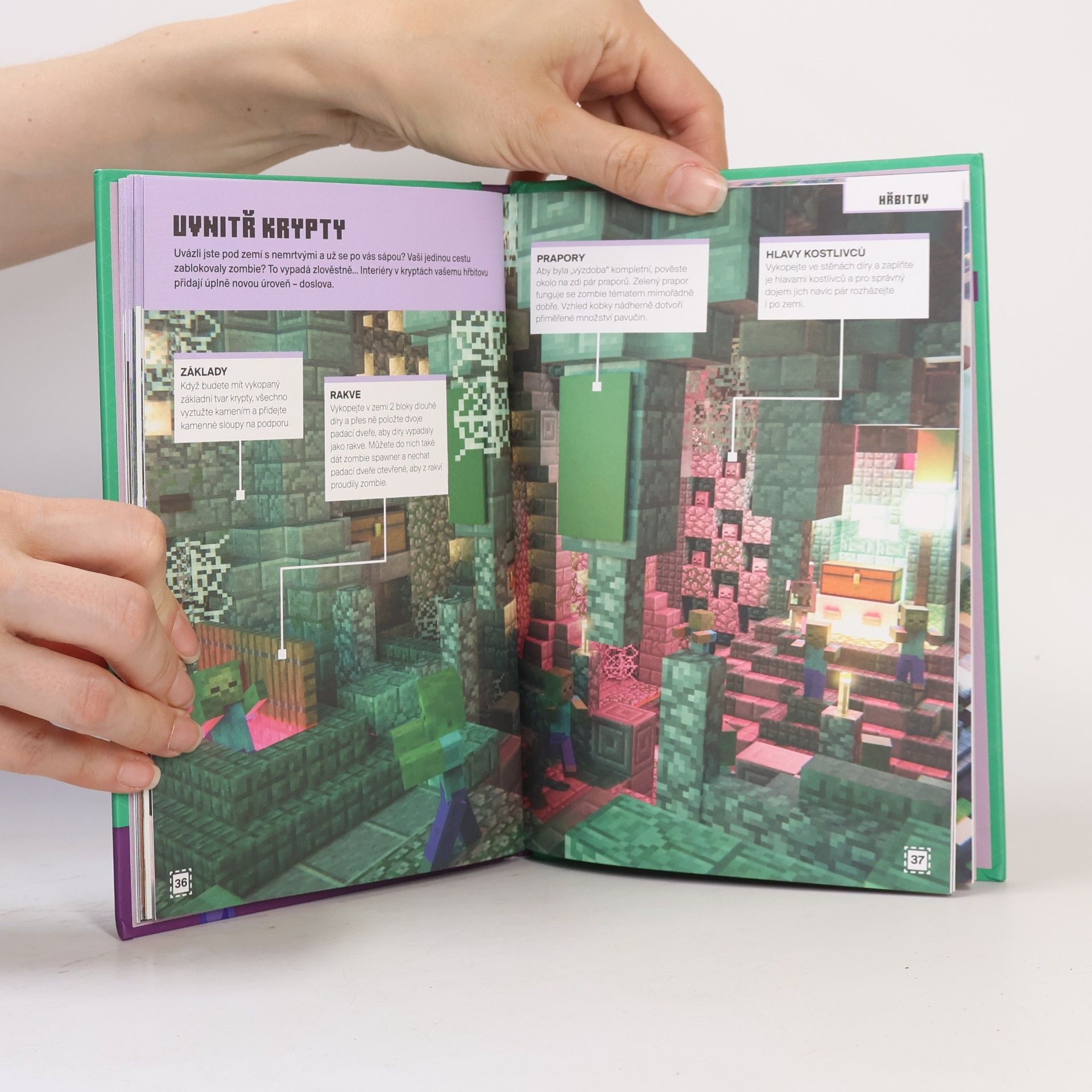 Ed Jefferson Minecraft : stavíme!. Země zombie