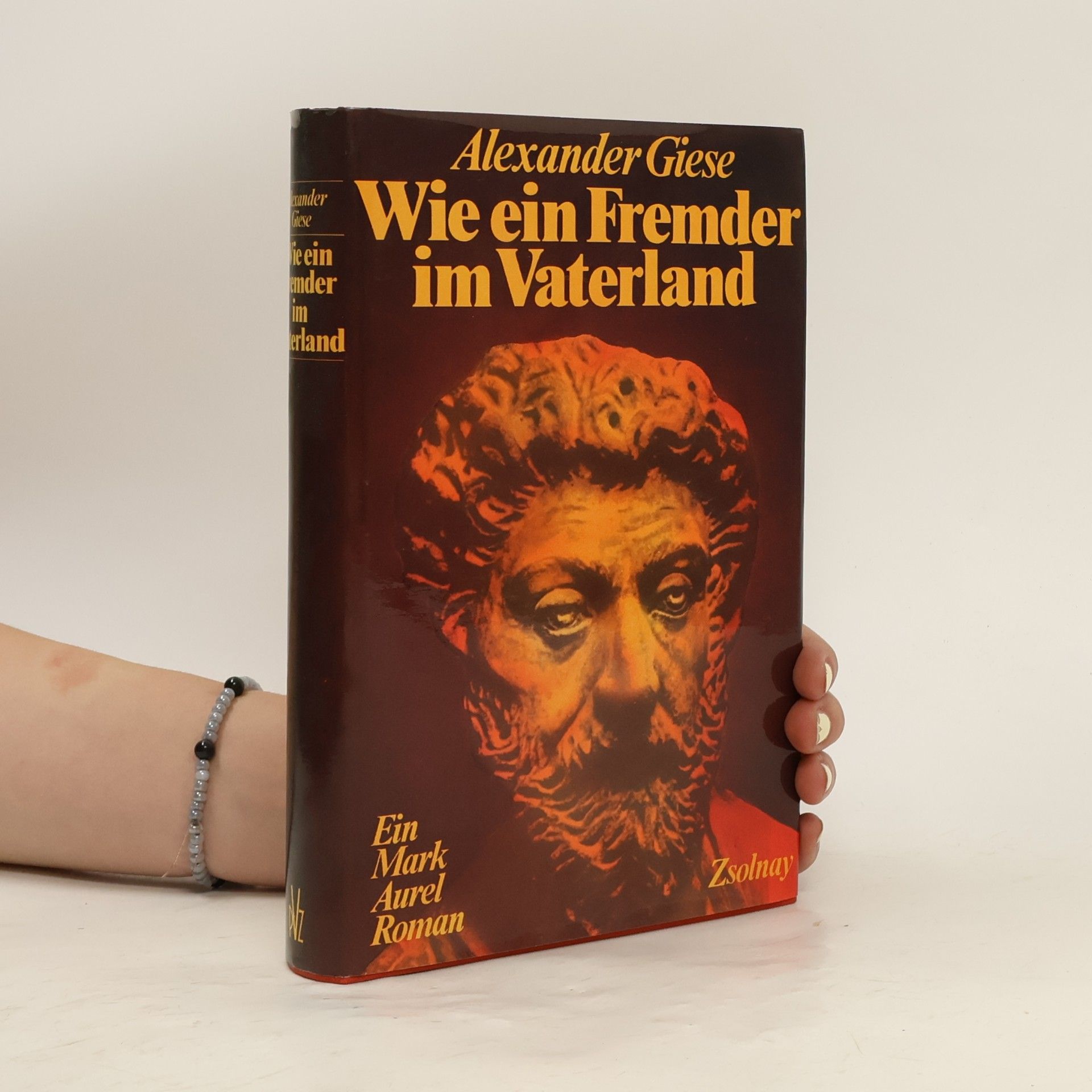 Alexander Giese Wie ein Fremder im Vaterland