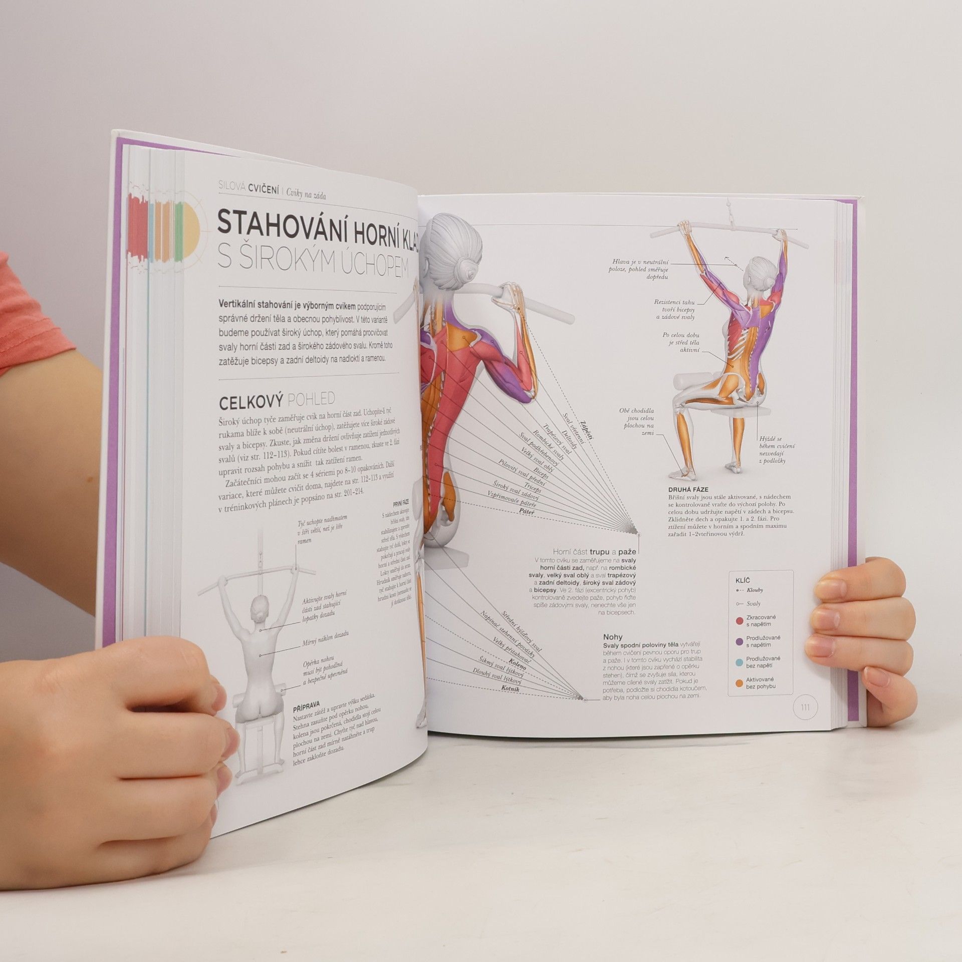 Austin Current Silový trénink z pohledu anatomie : pochopte fungování těla pro lepší a účinnější cvičení