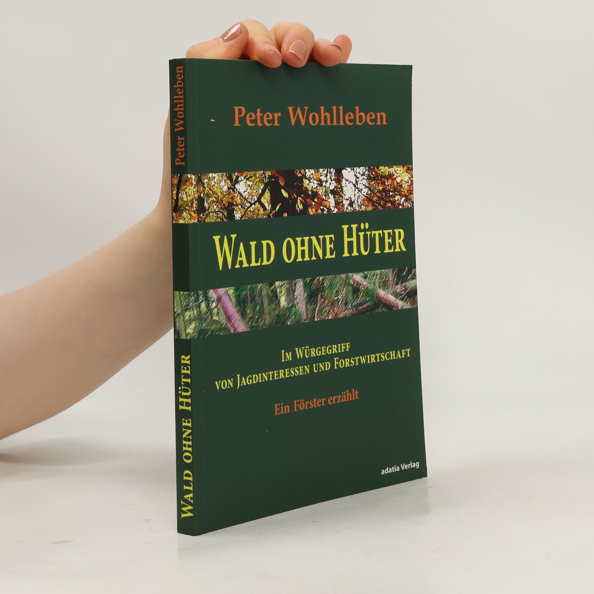 Wald ohne Hüter