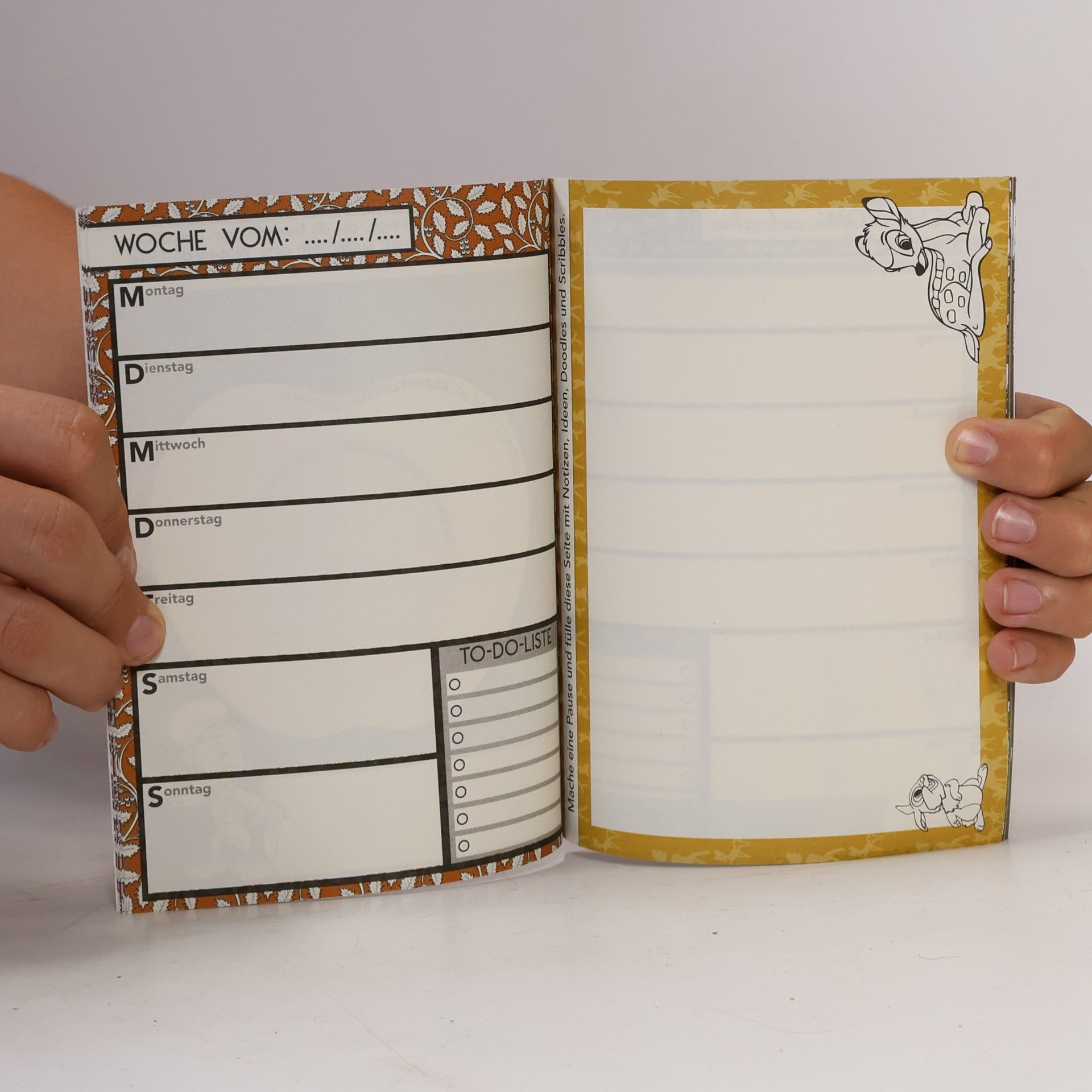 Various authors Disney: Das magische Tagebuch