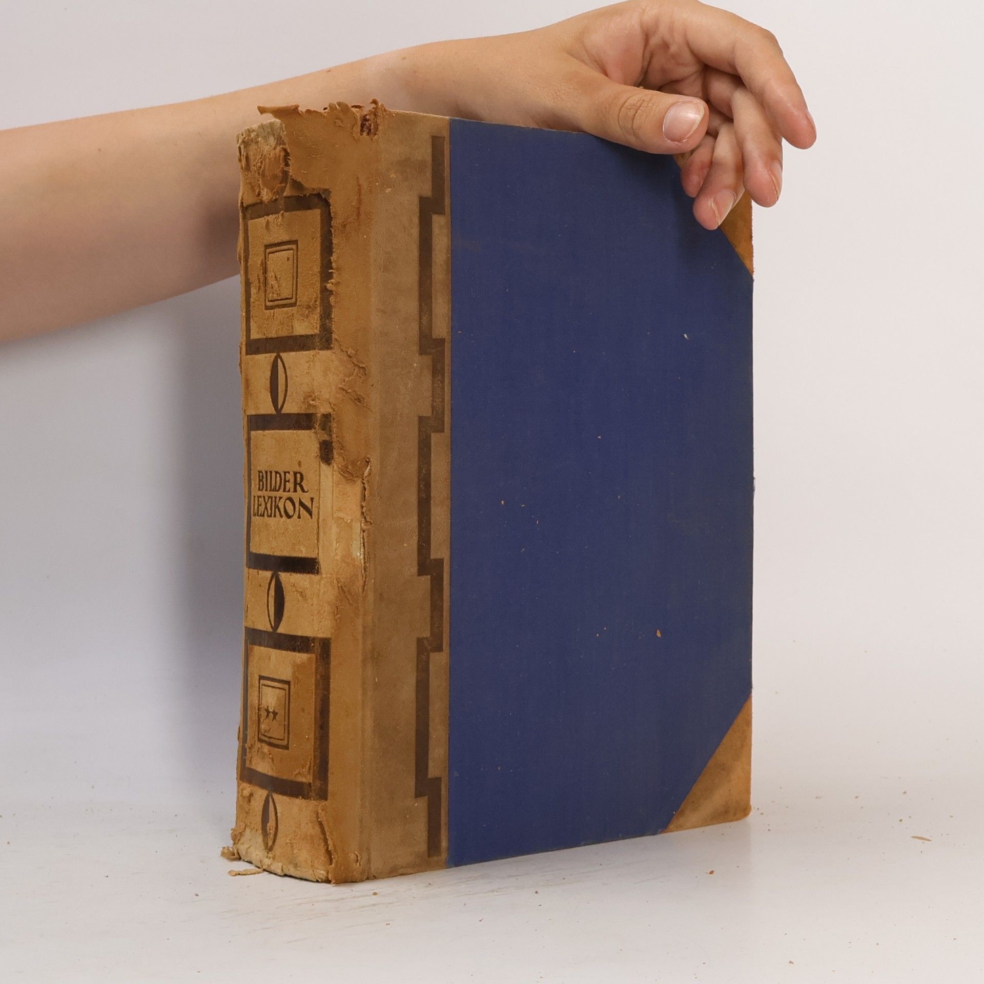 Autores varios Bilder Lexikon. Literatur und Kunst