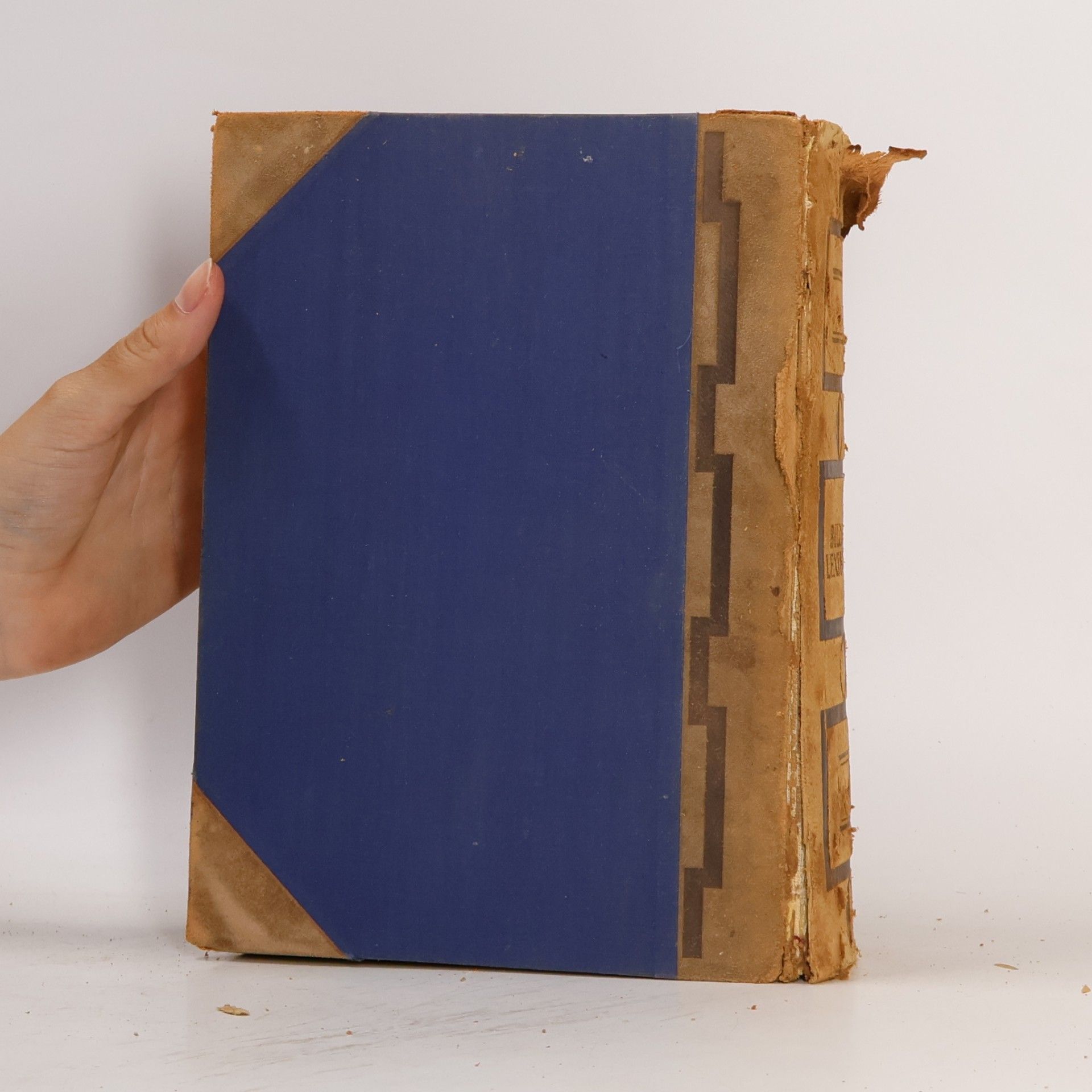 Autores varios Bilder Lexikon. Literatur und Kunst