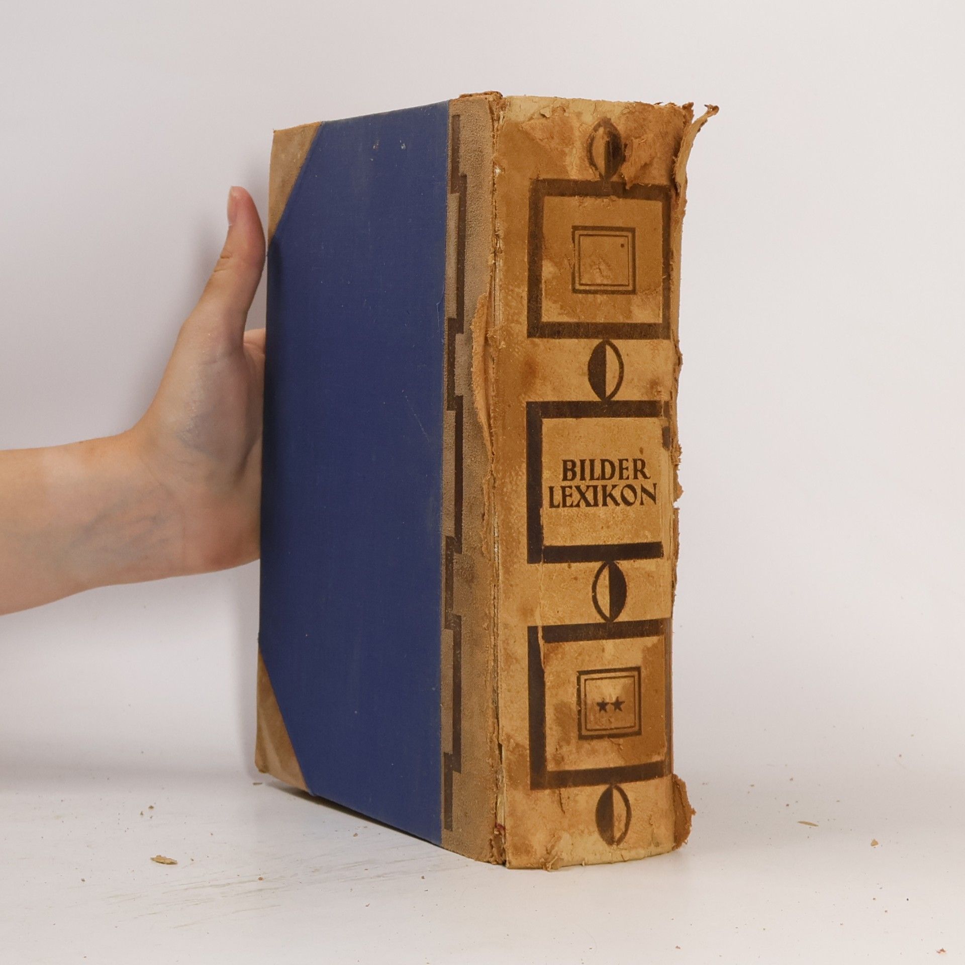 Autores varios Bilder Lexikon. Literatur und Kunst