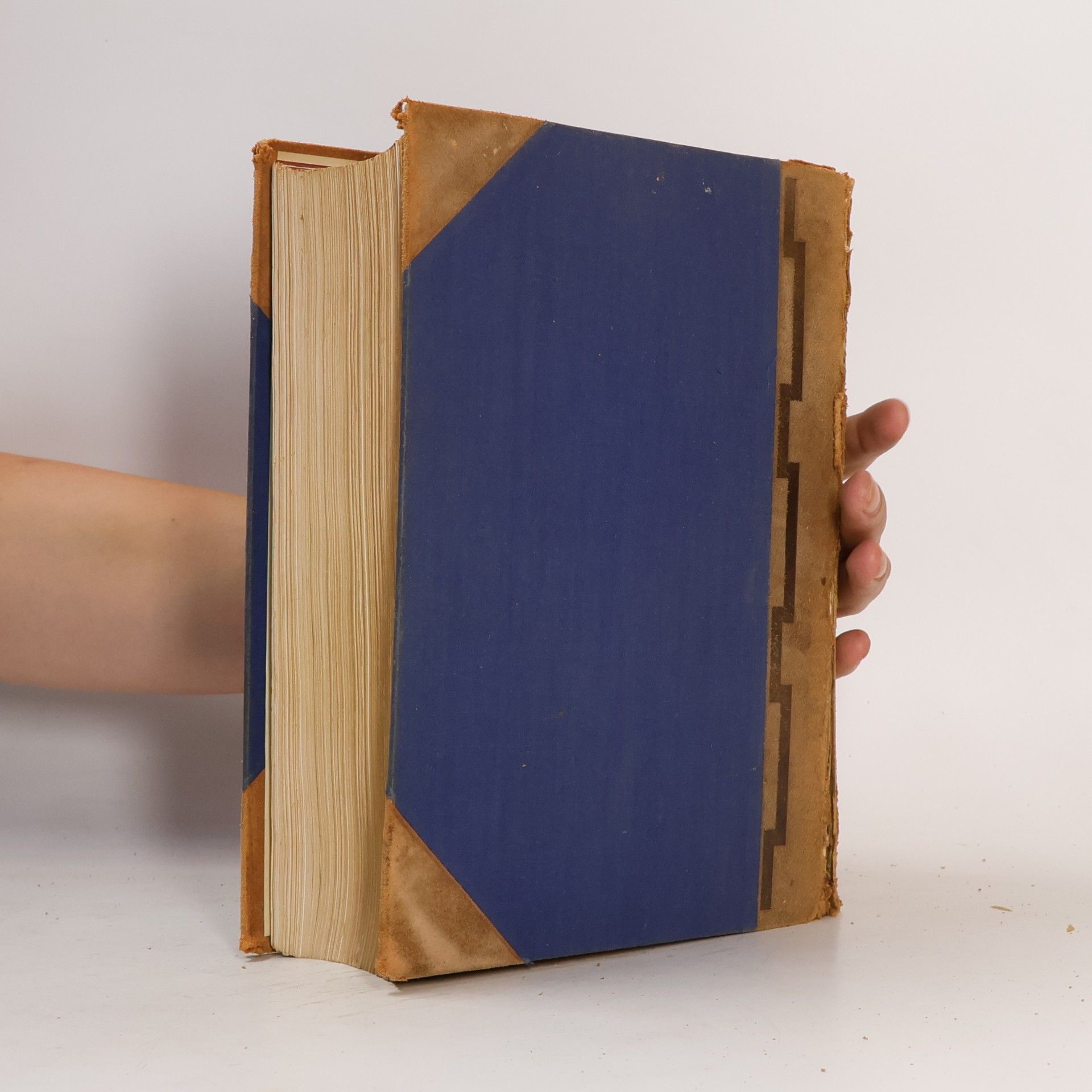 Autores varios Bilder Lexikon. Literatur und Kunst