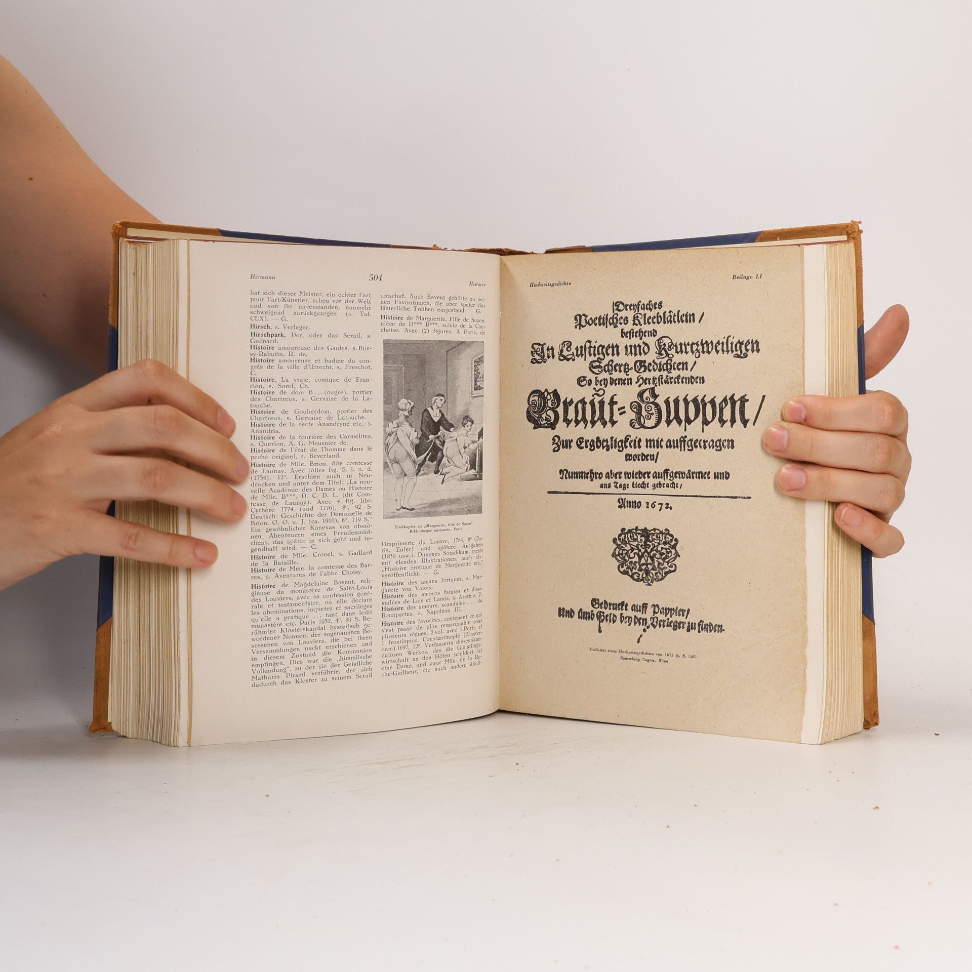 Autores varios Bilder Lexikon. Literatur und Kunst