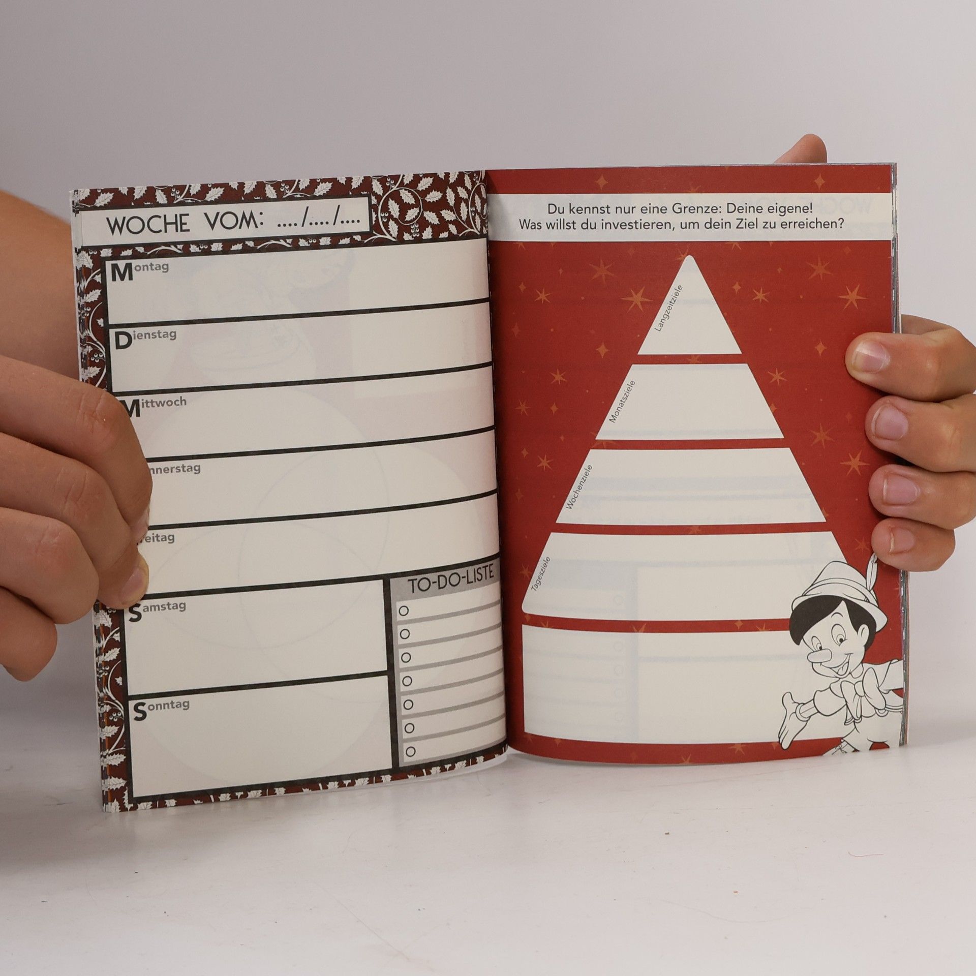 Various authors Disney: Das magische Tagebuch