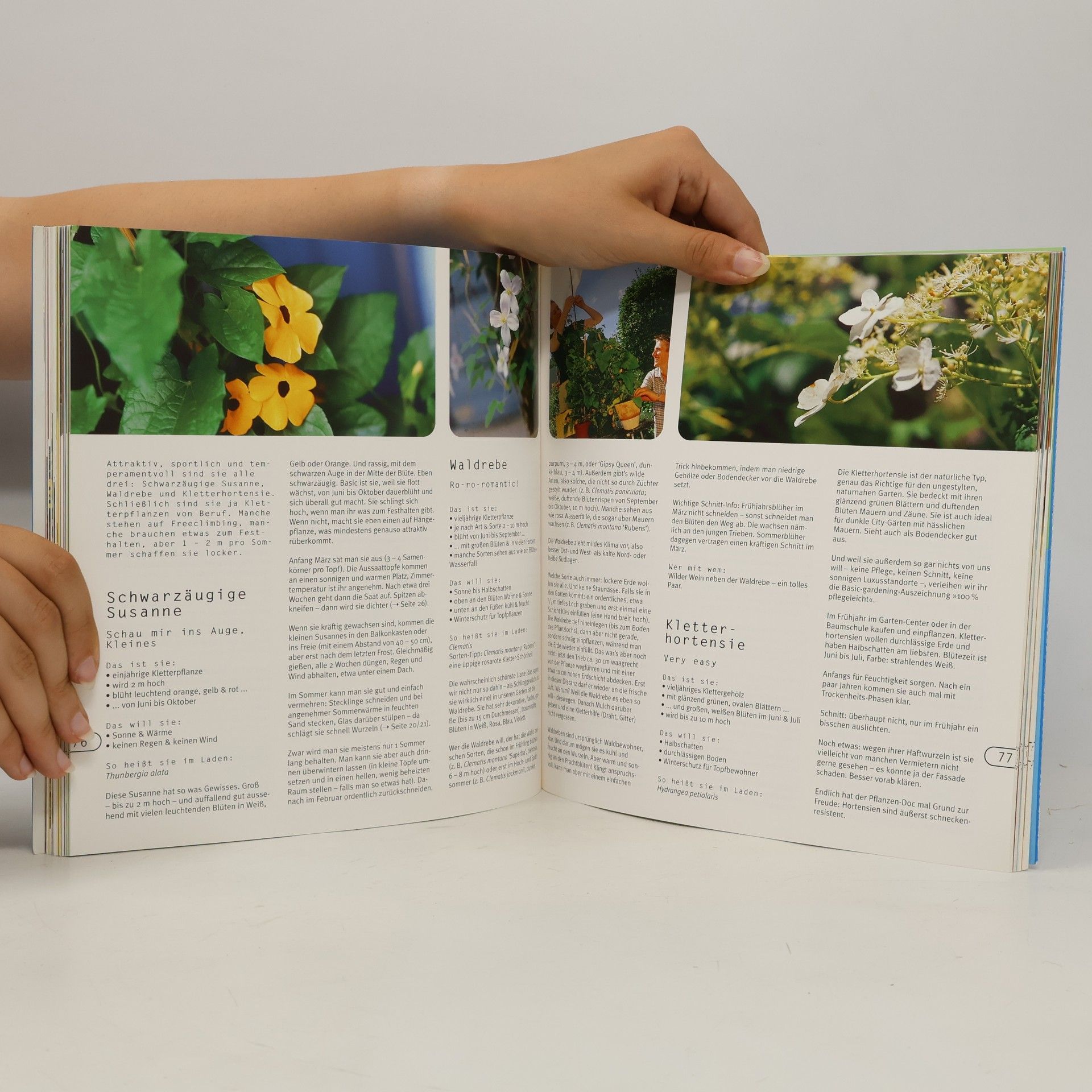 Sybille Engels Basic gardening