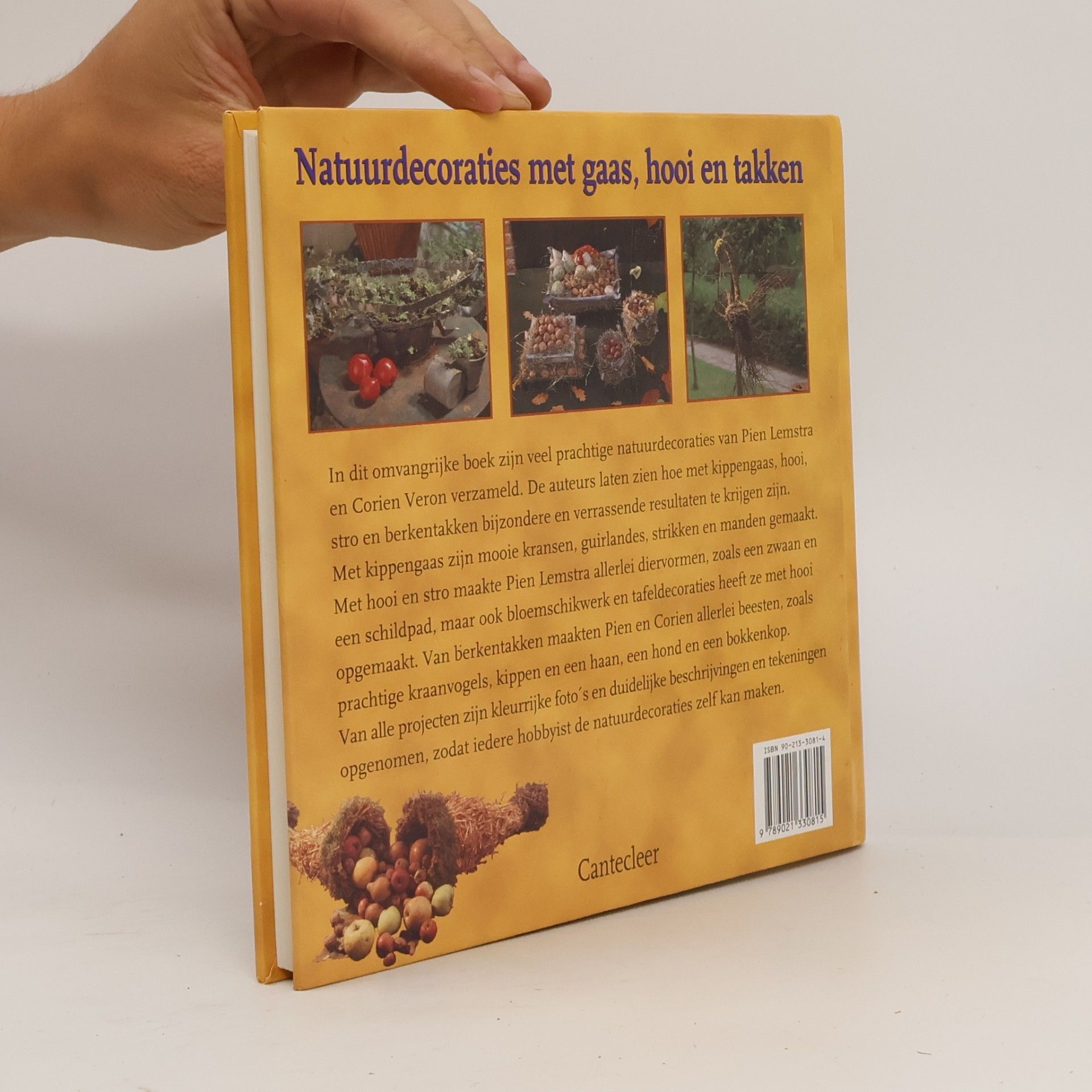 Pien Lemstra Natuurdecoraties met gaas, hooi en takken