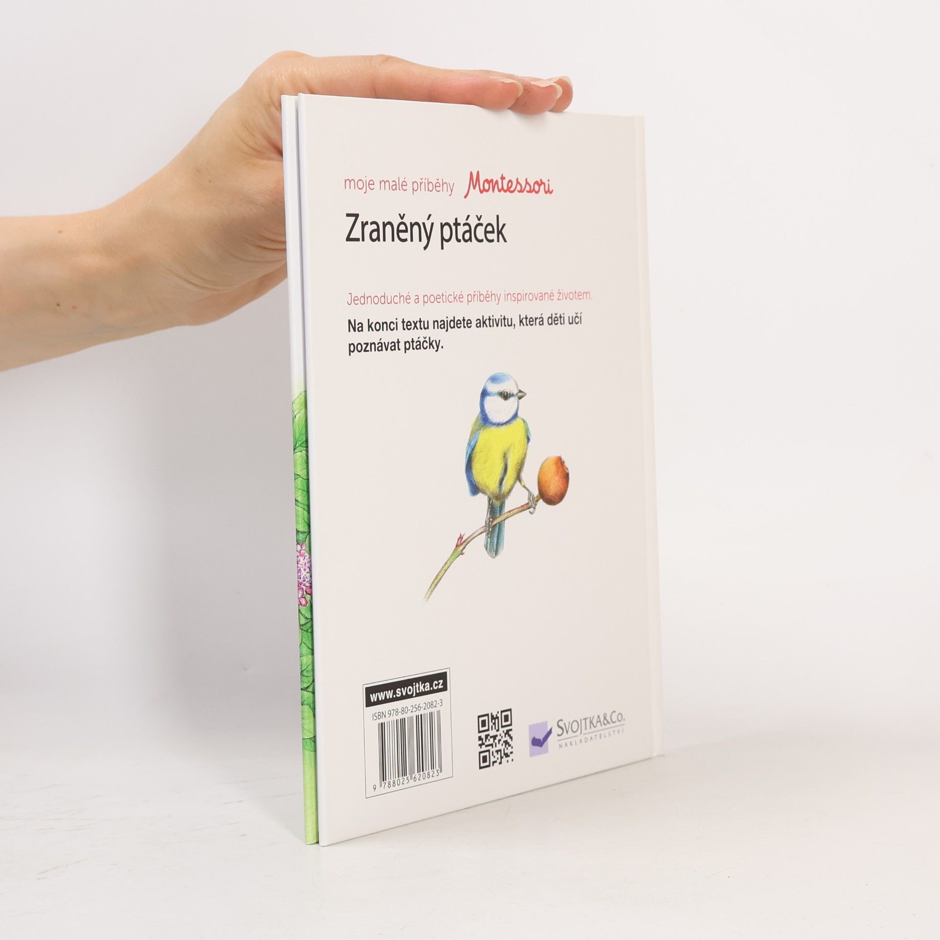 Ève Herrmann Moje malé příběhy Montessori: Zraněný ptáček