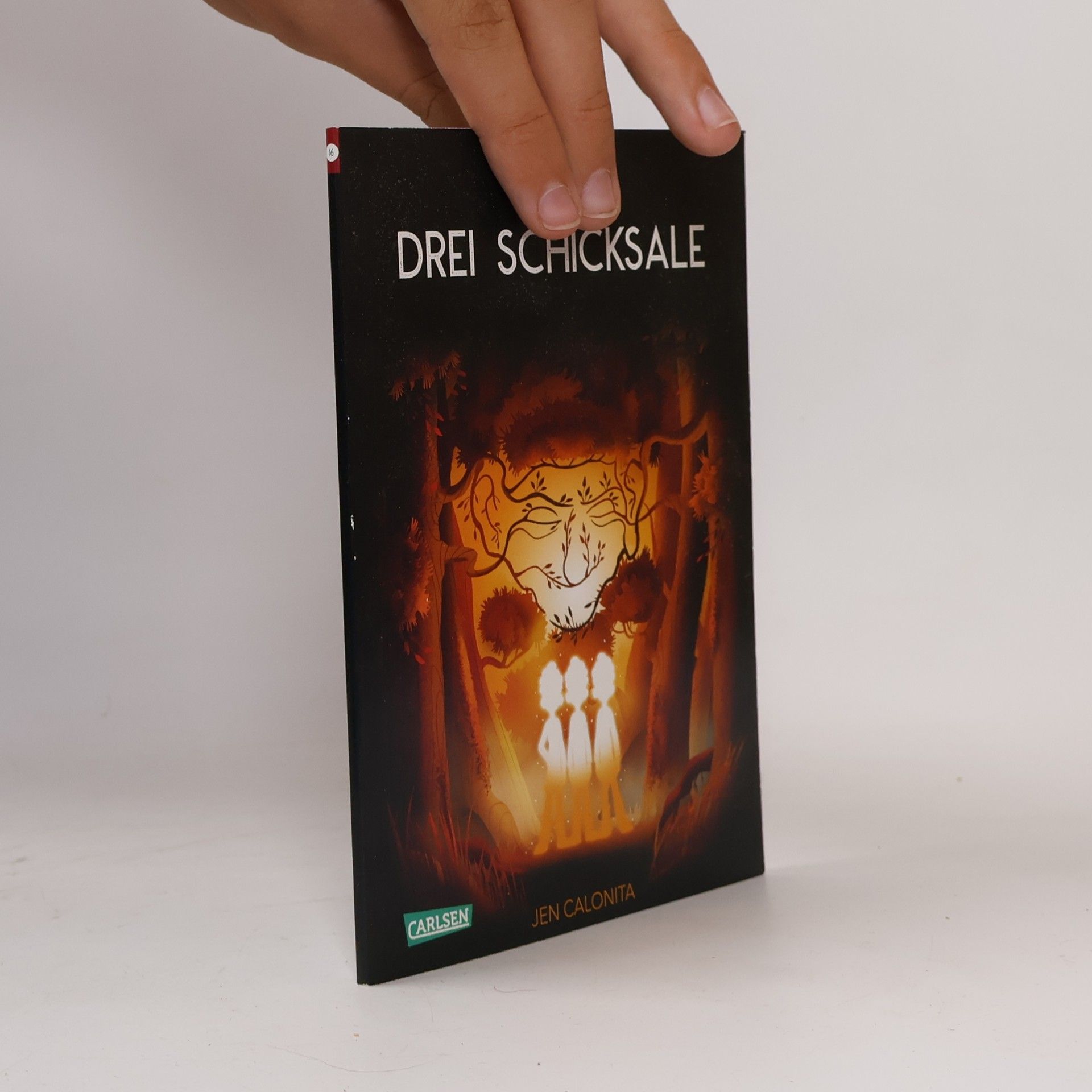 Autorenkollektiv Drei Schicksale